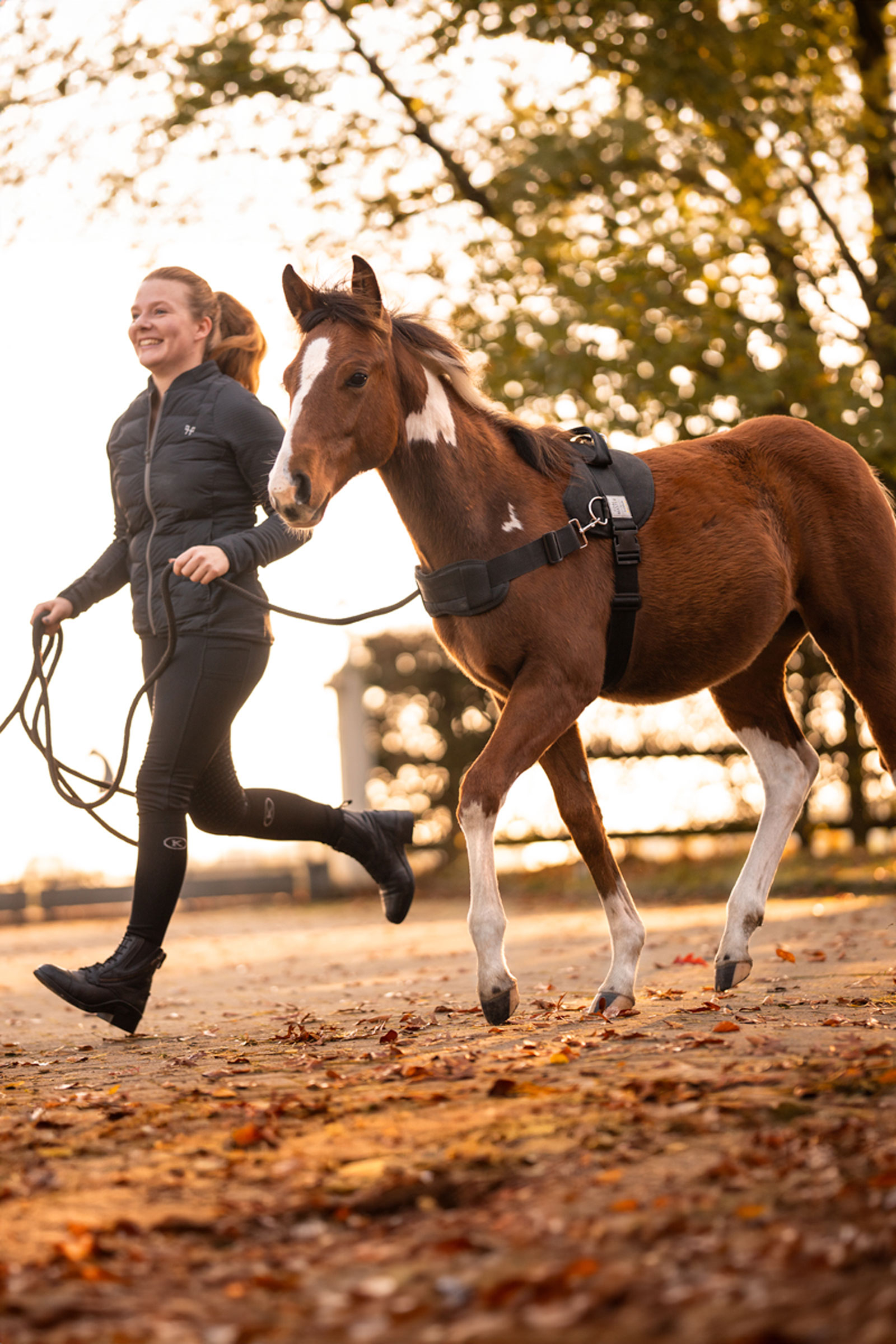 Kavalkade Foalmaster veulenharnas met handvat