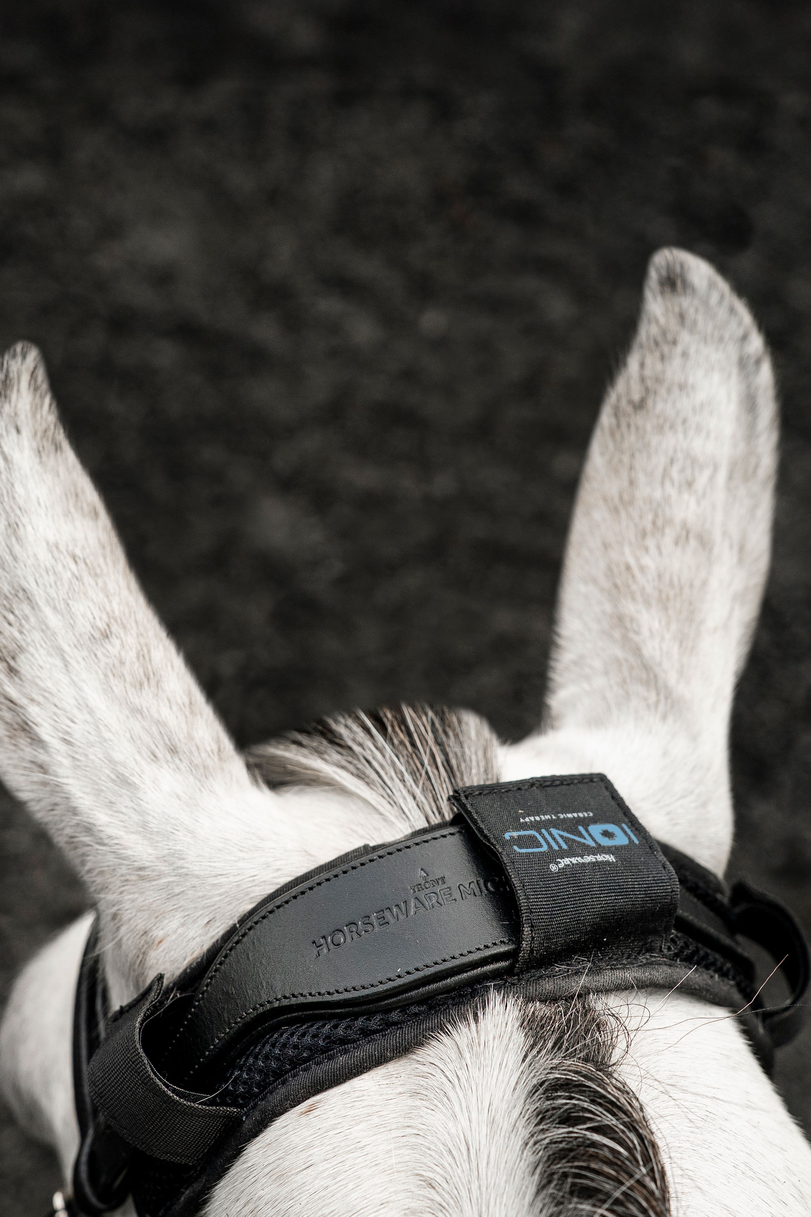 Horseware Ionic pollbeschermer