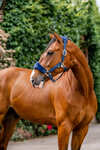 Horseware Signature Verzorgingshalster