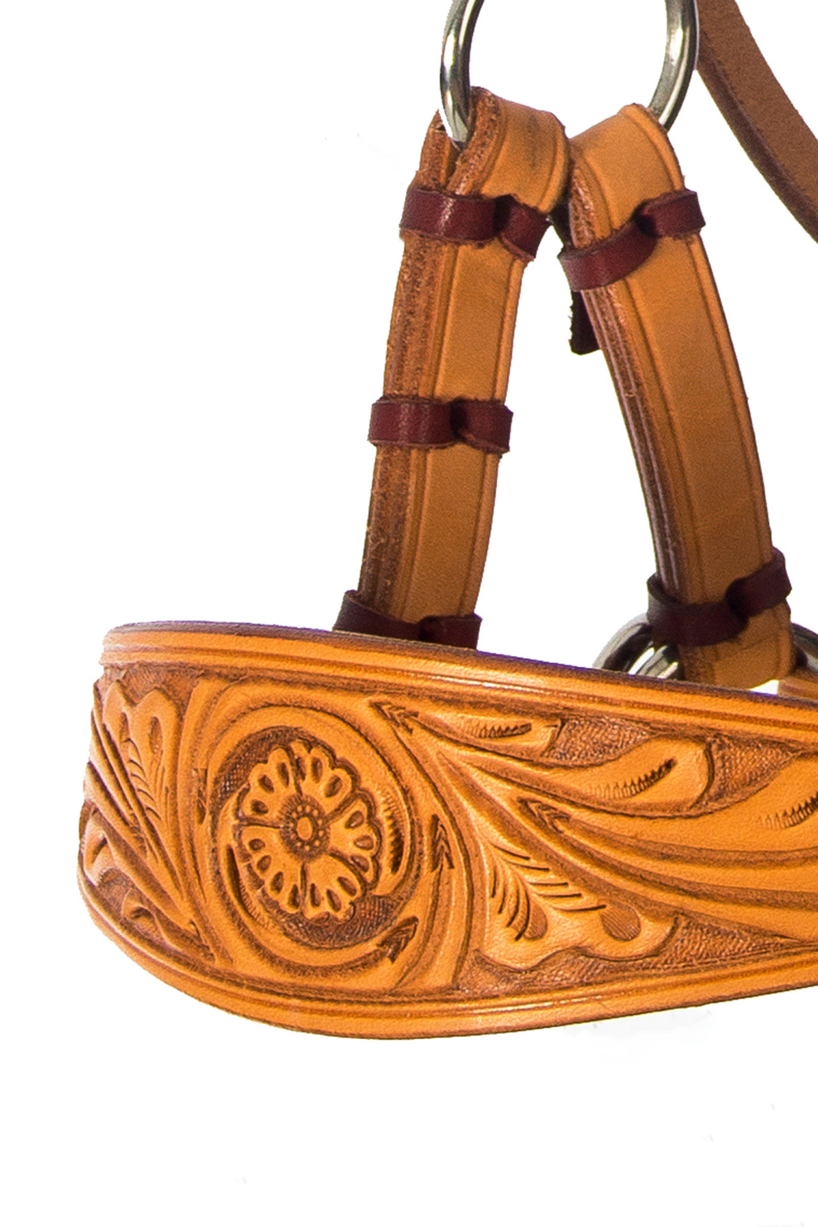 F.R.A. Freedom Riding Articles Diego Bitloos Hoofdstel