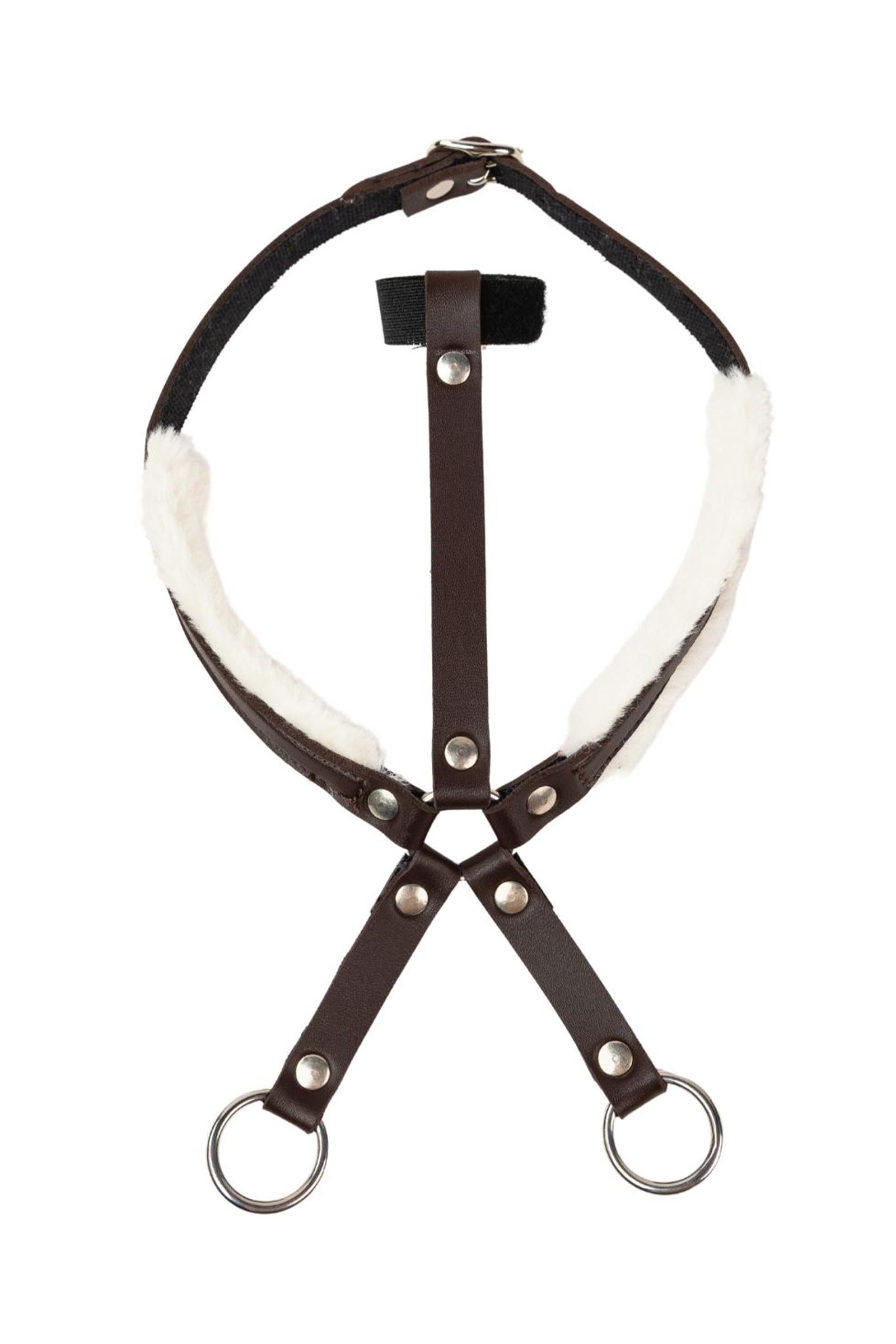 Brown My Hobby Horse martingaal