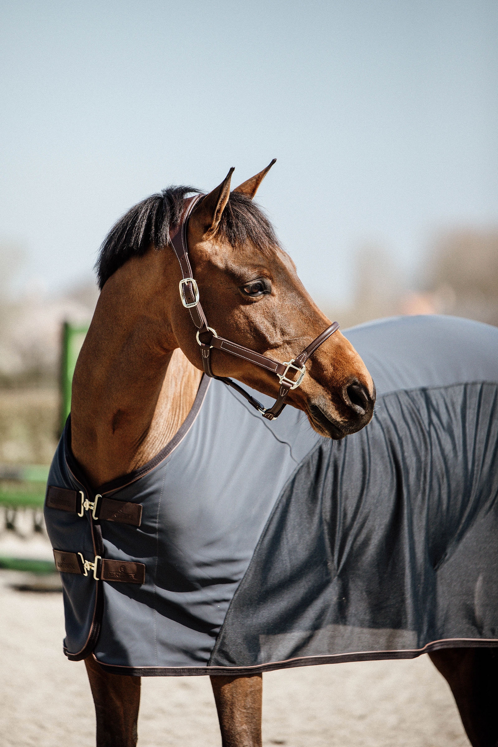 Kentucky Horsewear Cooler Softshell sheet