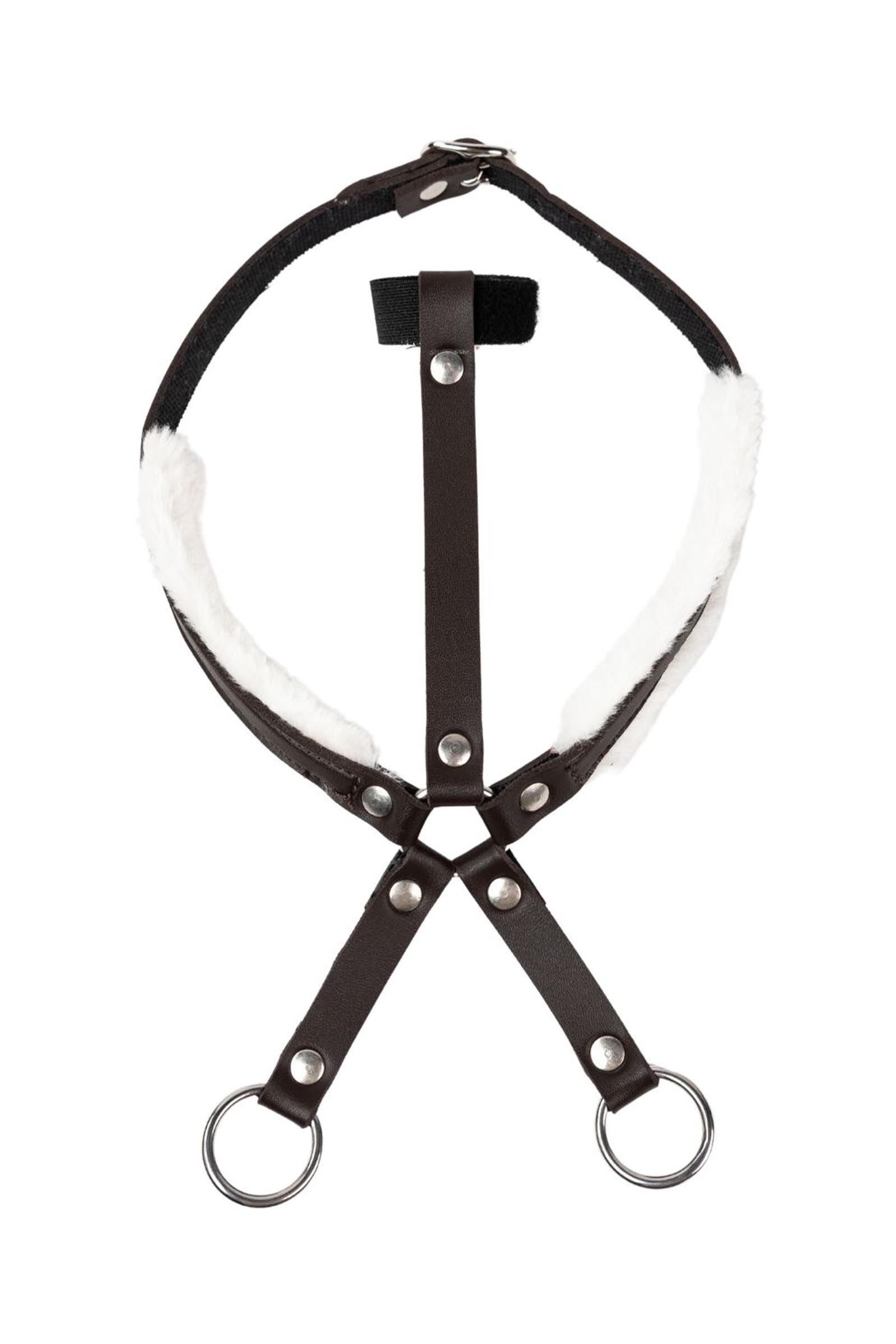 My Hobby Horse martingaal