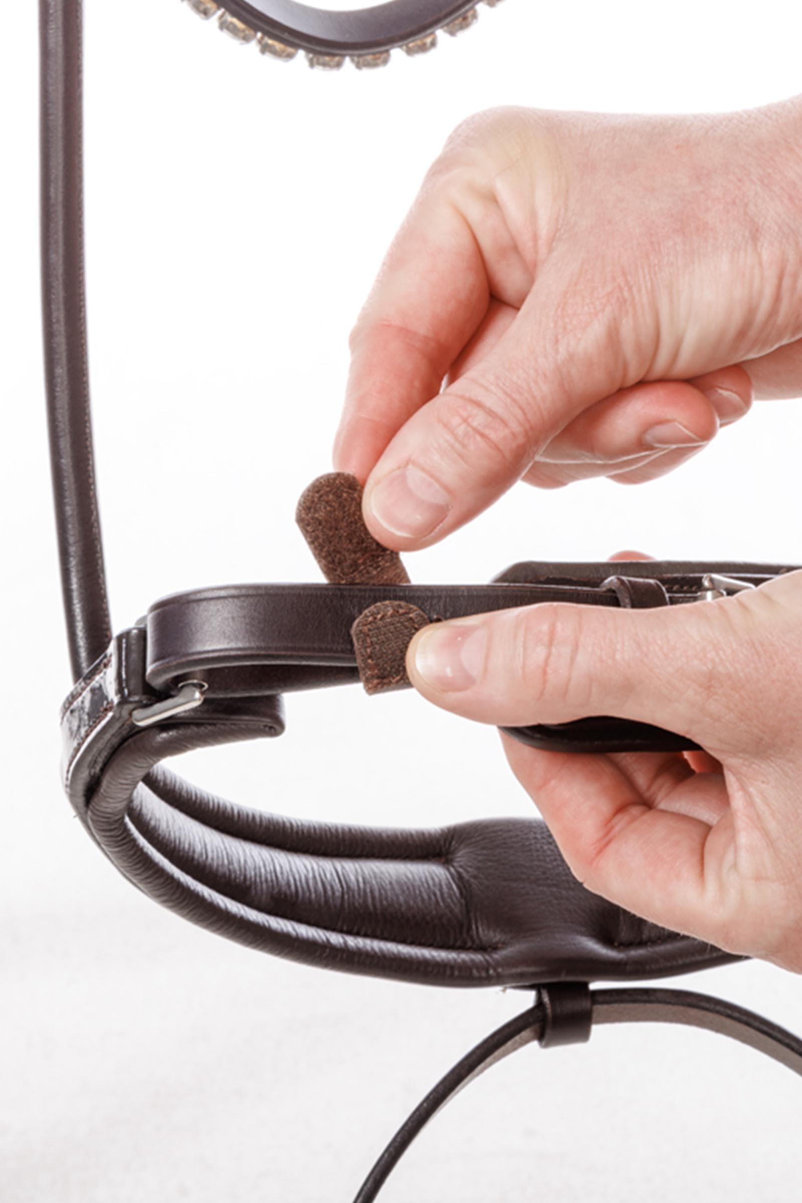 Kavalkade Alter Schwede lus voor Zweedse neusriem