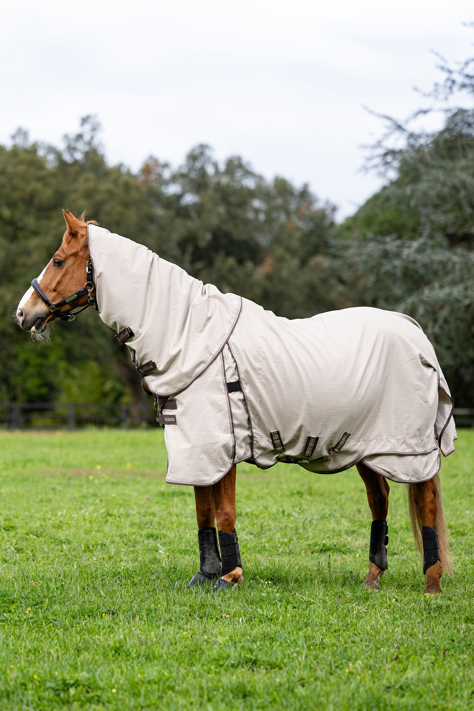 LeMieux Kudos weidedeken
