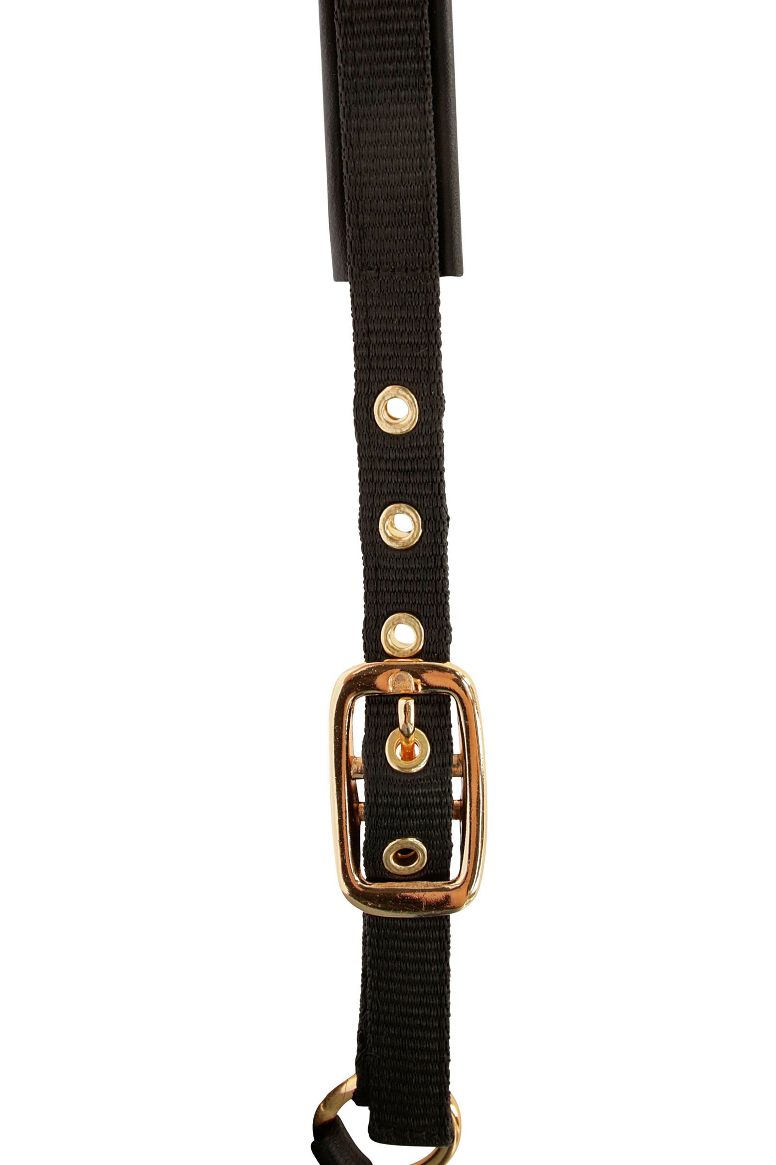 Covalliero TopLine veulenhalster