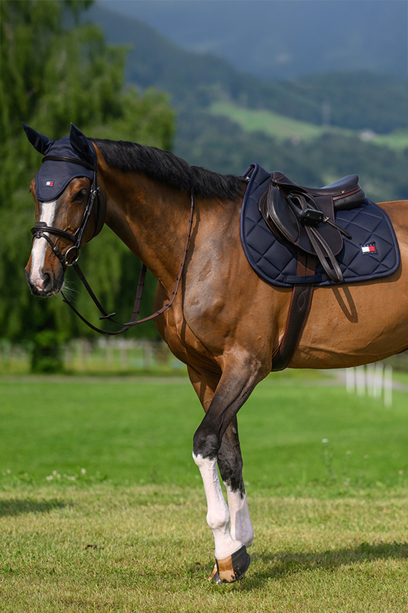 Tommy Hilfiger Equestrian Columbia spring zadeldek