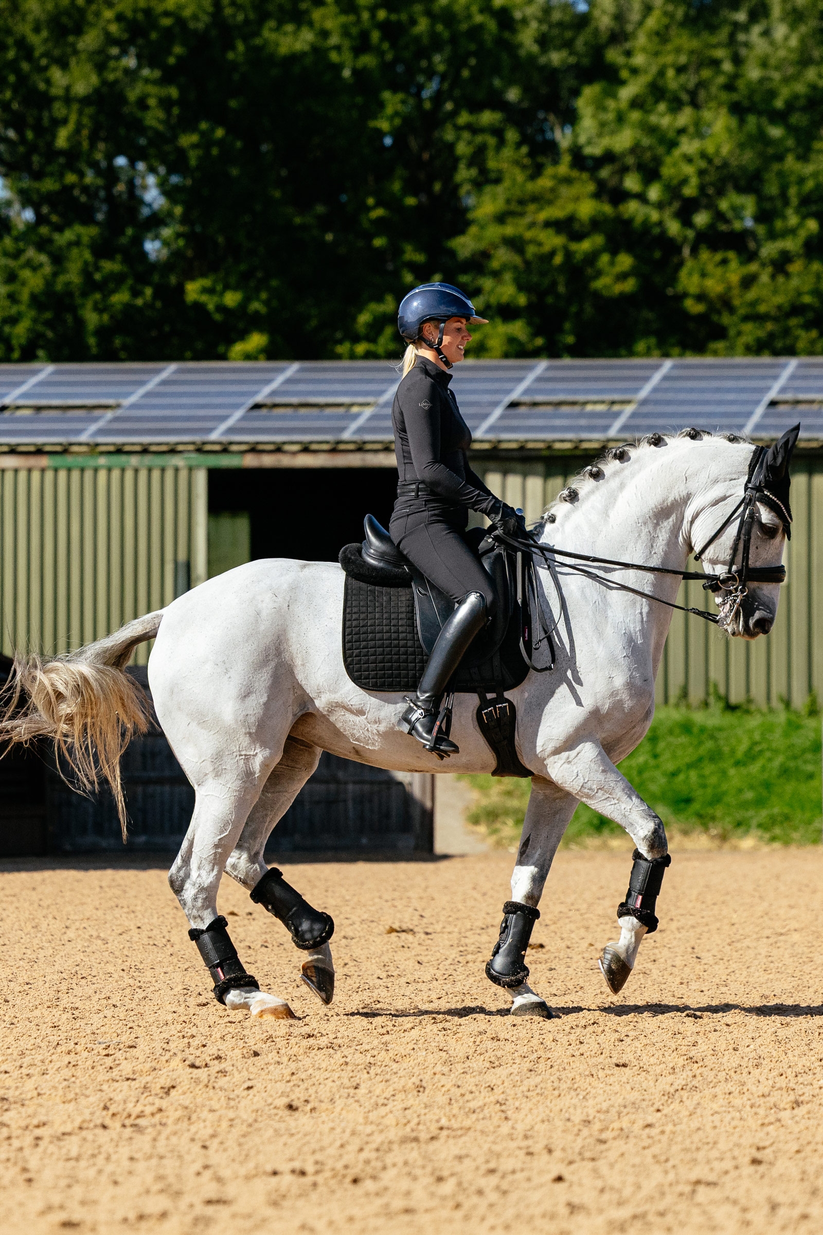 LeMieux Suede dressuurschabrak