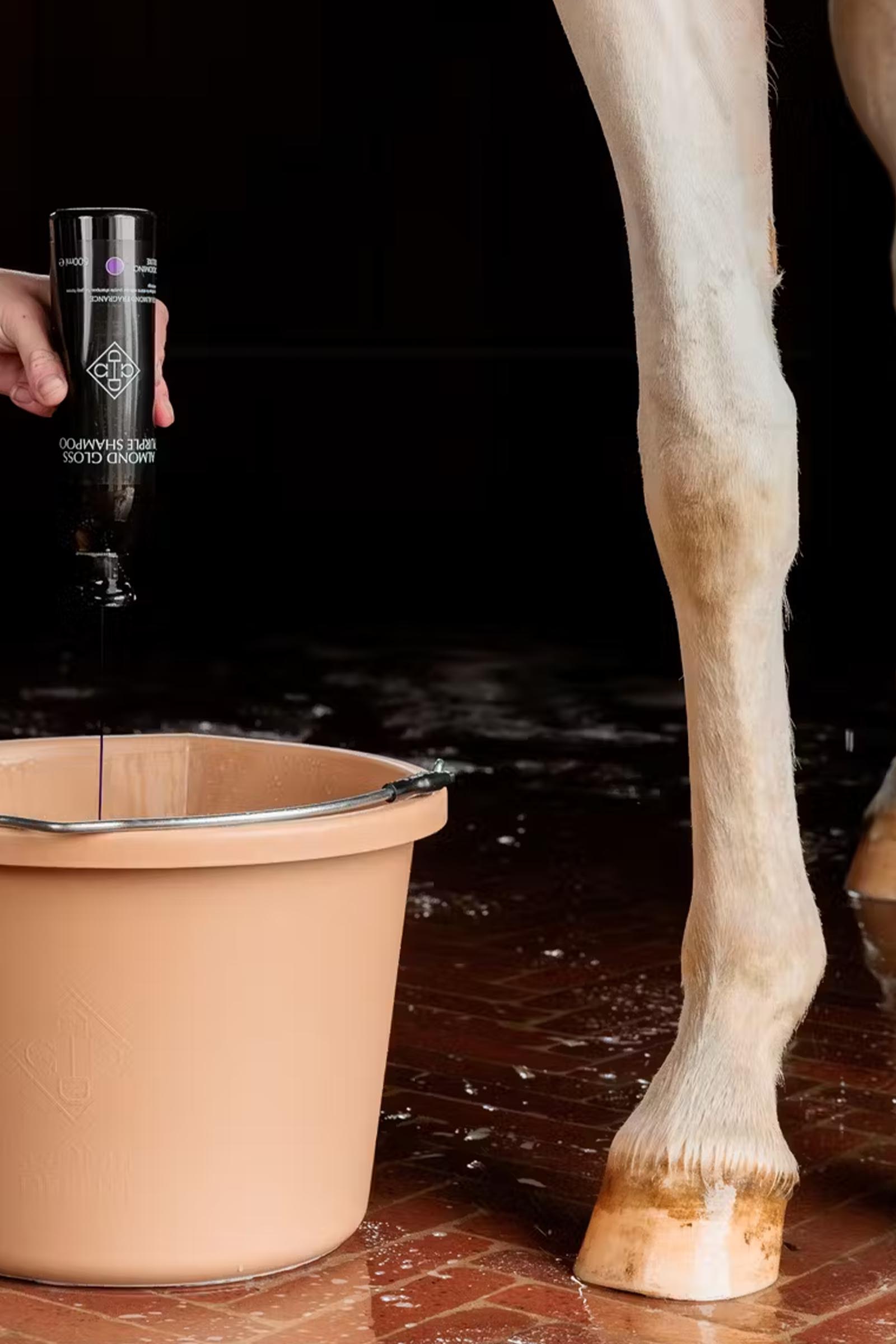 Grooming Deluxe Amandel gloss paarse shampoo, 500 ml