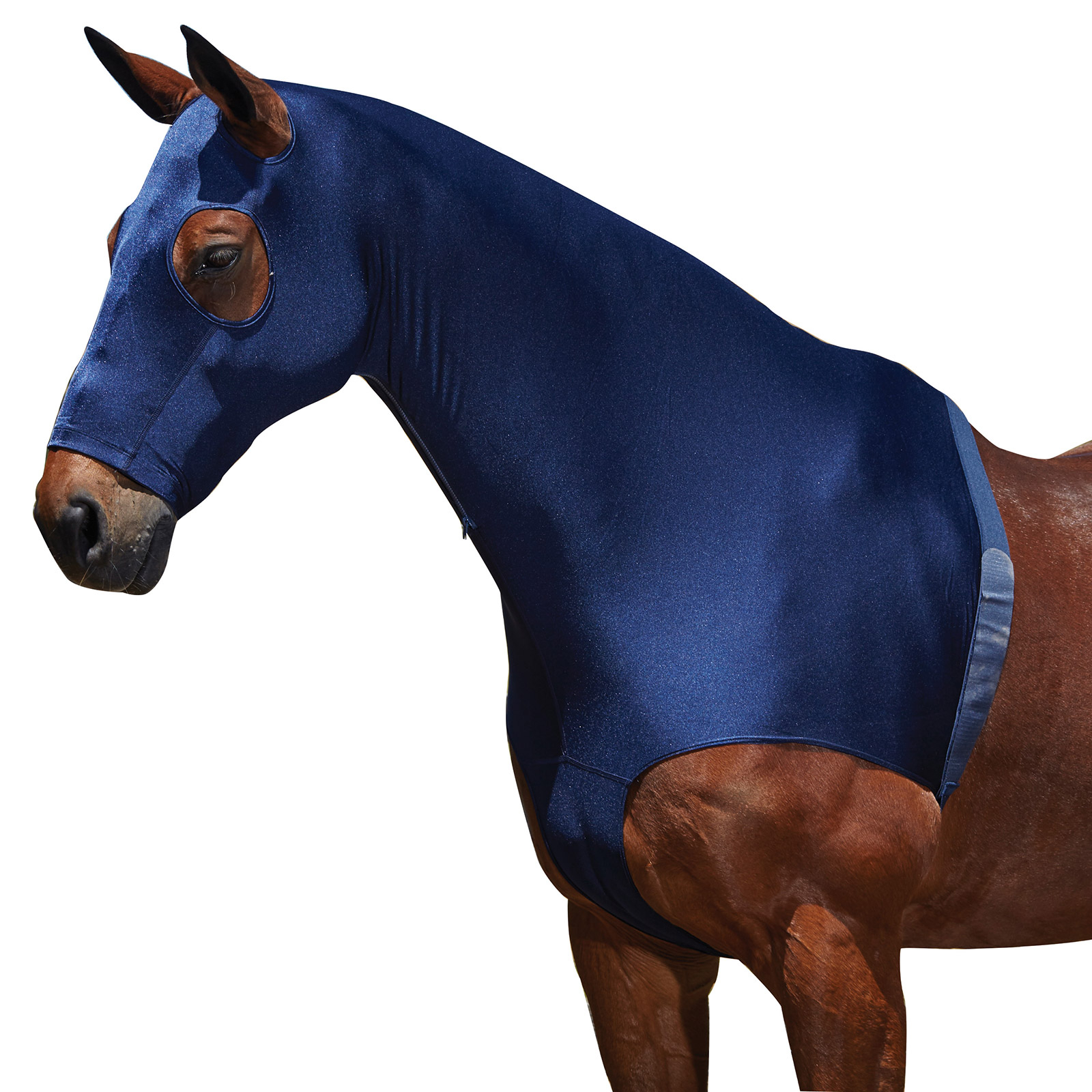 DB/AB Weatherbeeta Stretch Hals met rits