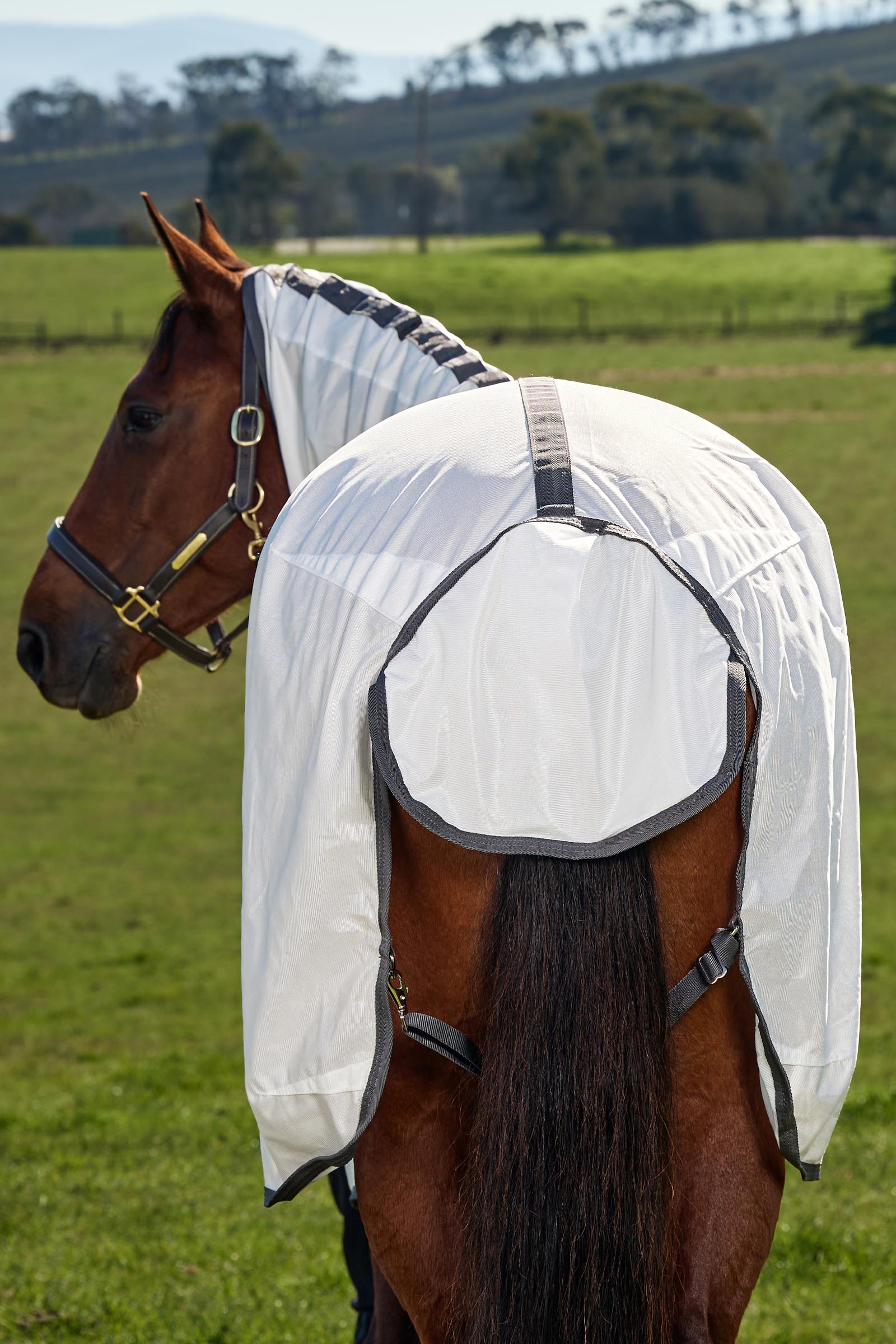 Weatherbeeta ComFiTec Tyro Vliegendeken combo met vaste hals, 0 g  