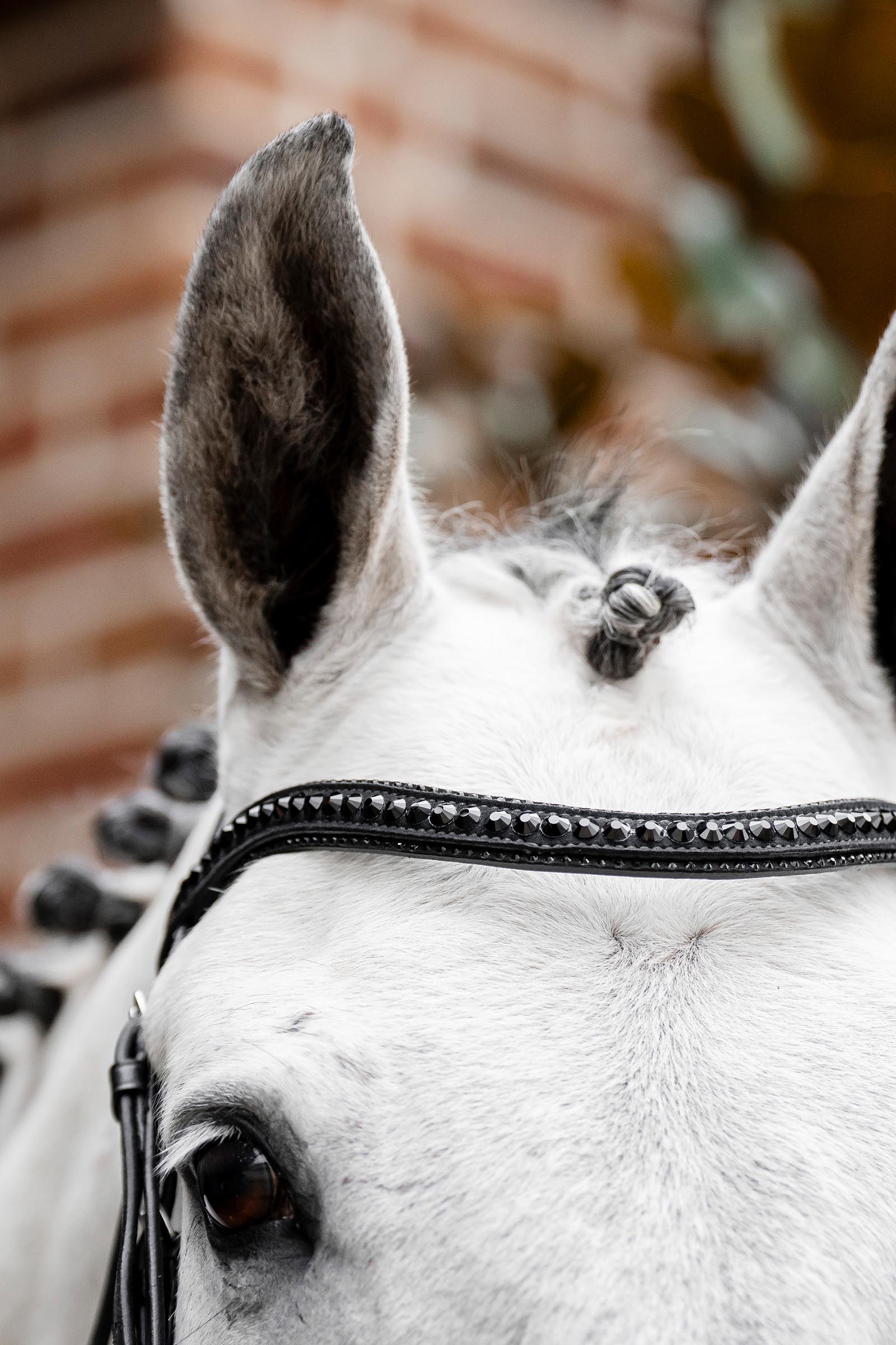 Horseware Diamante hoofdstel met sperriem