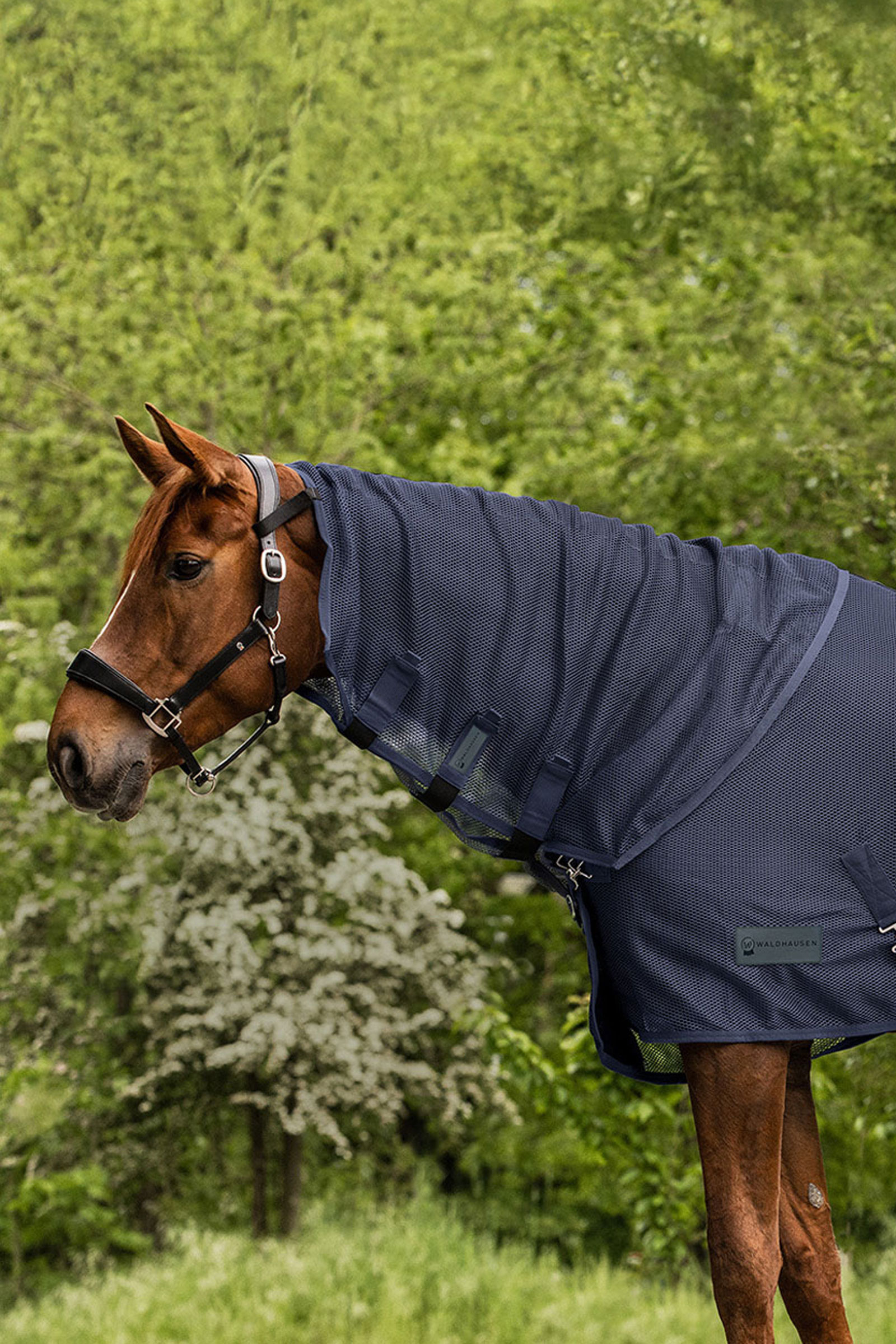 Waldhausen Comfort vliegendeken halstuk