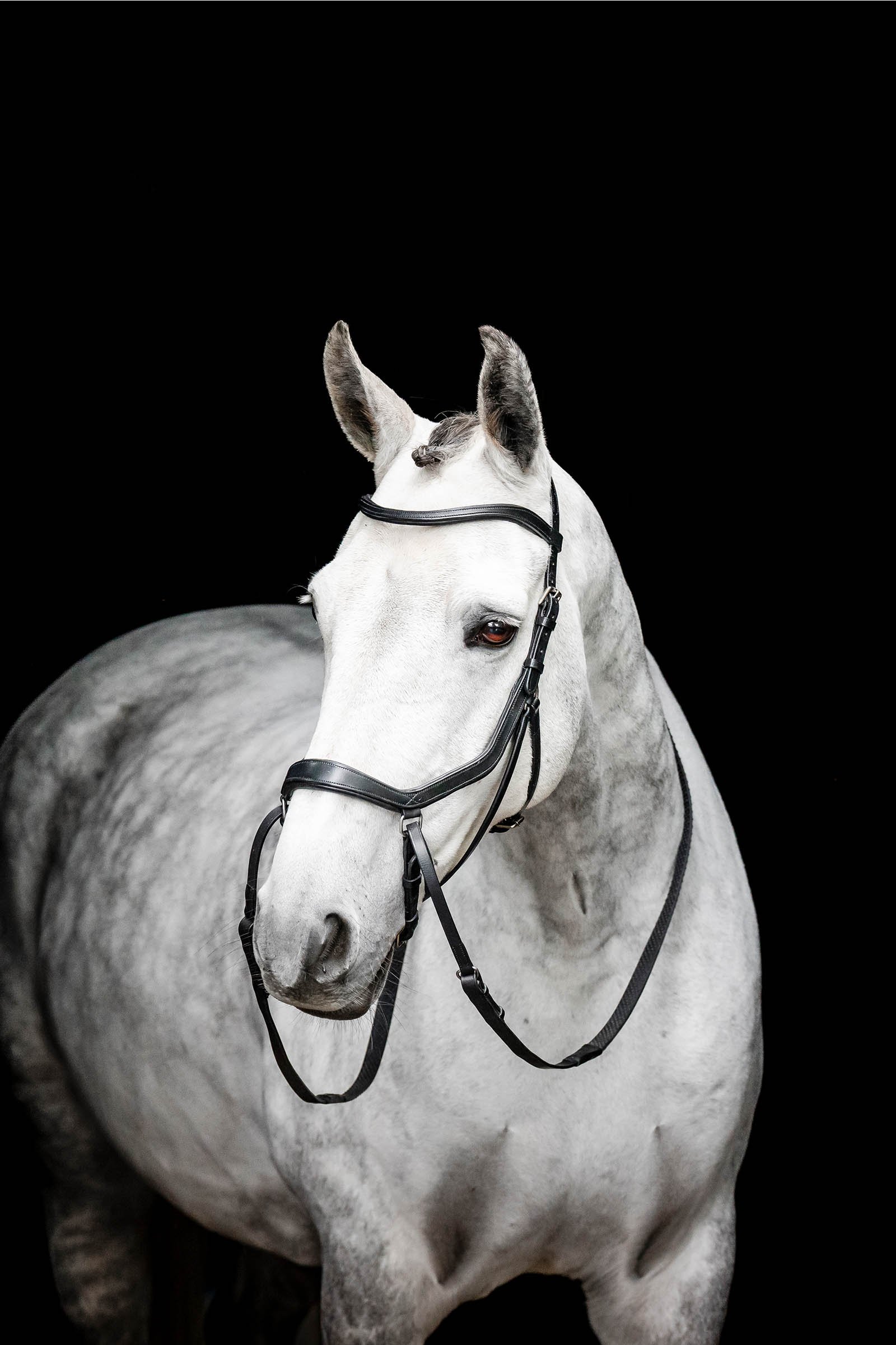 Black Horseware Micklem bitloos hoofdstel