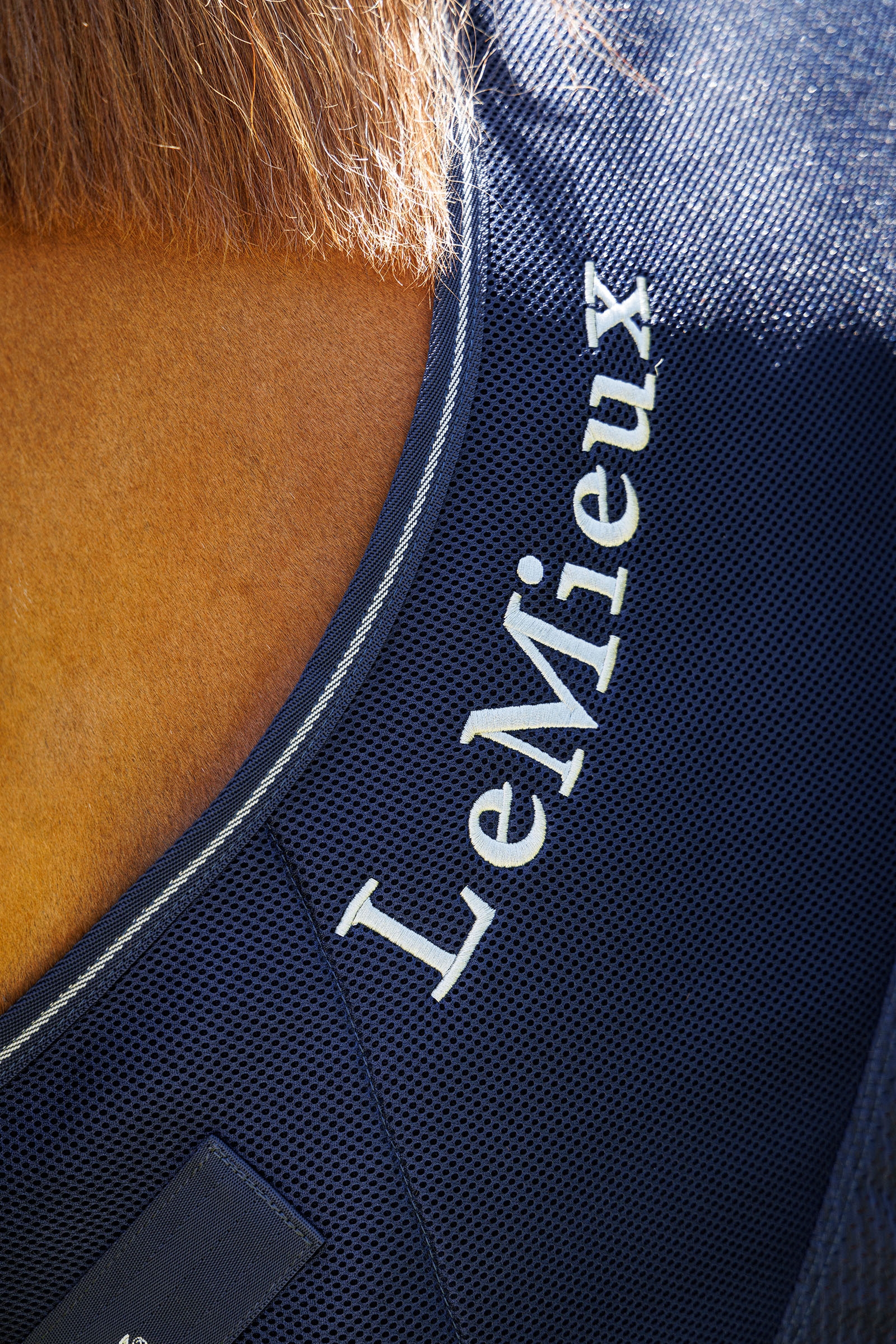 LeMieux Kudos sportieve mesh cooler deken