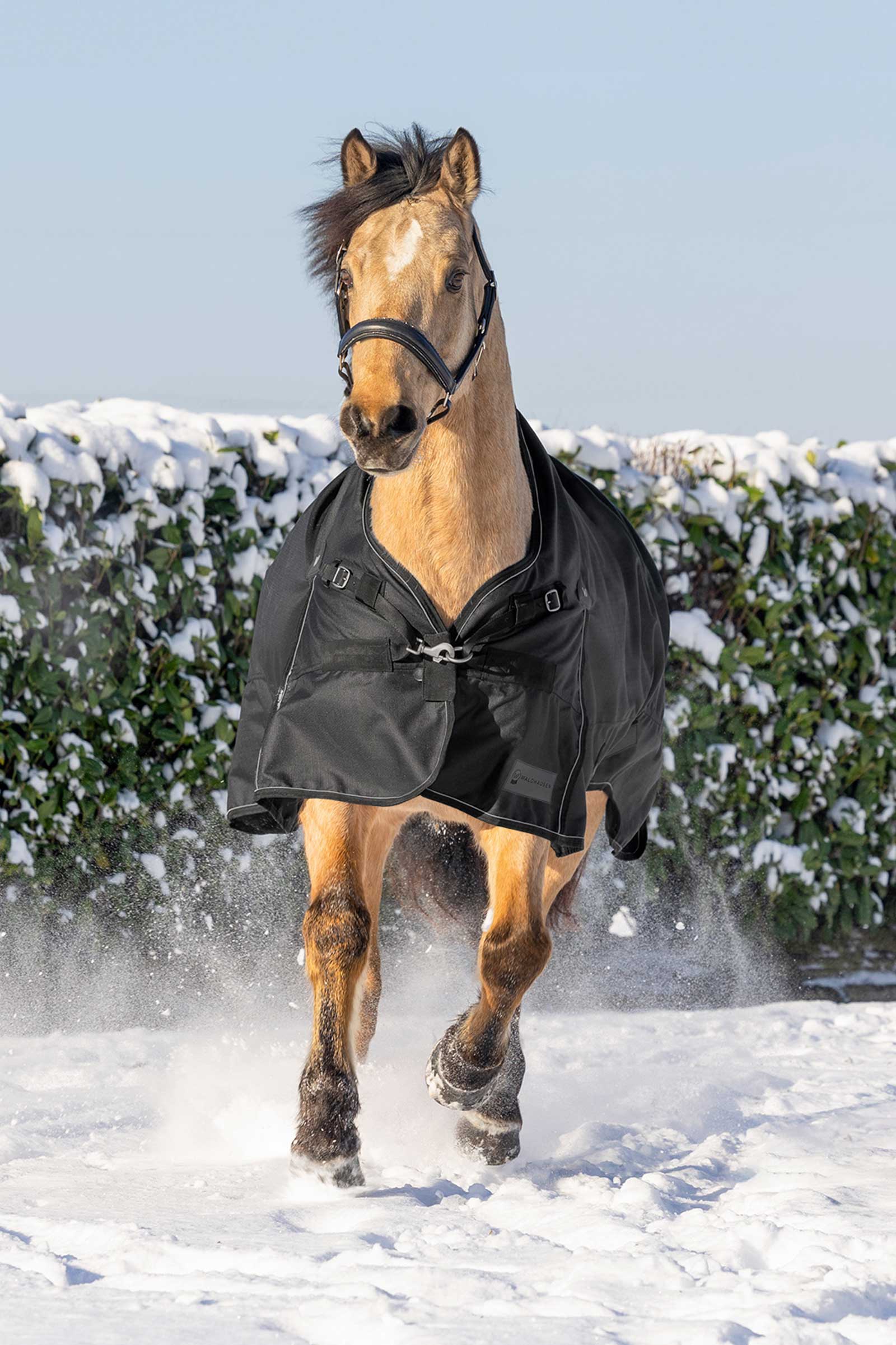 Waldhausen Scandic Outdoordeken met hoge hals, 200 g