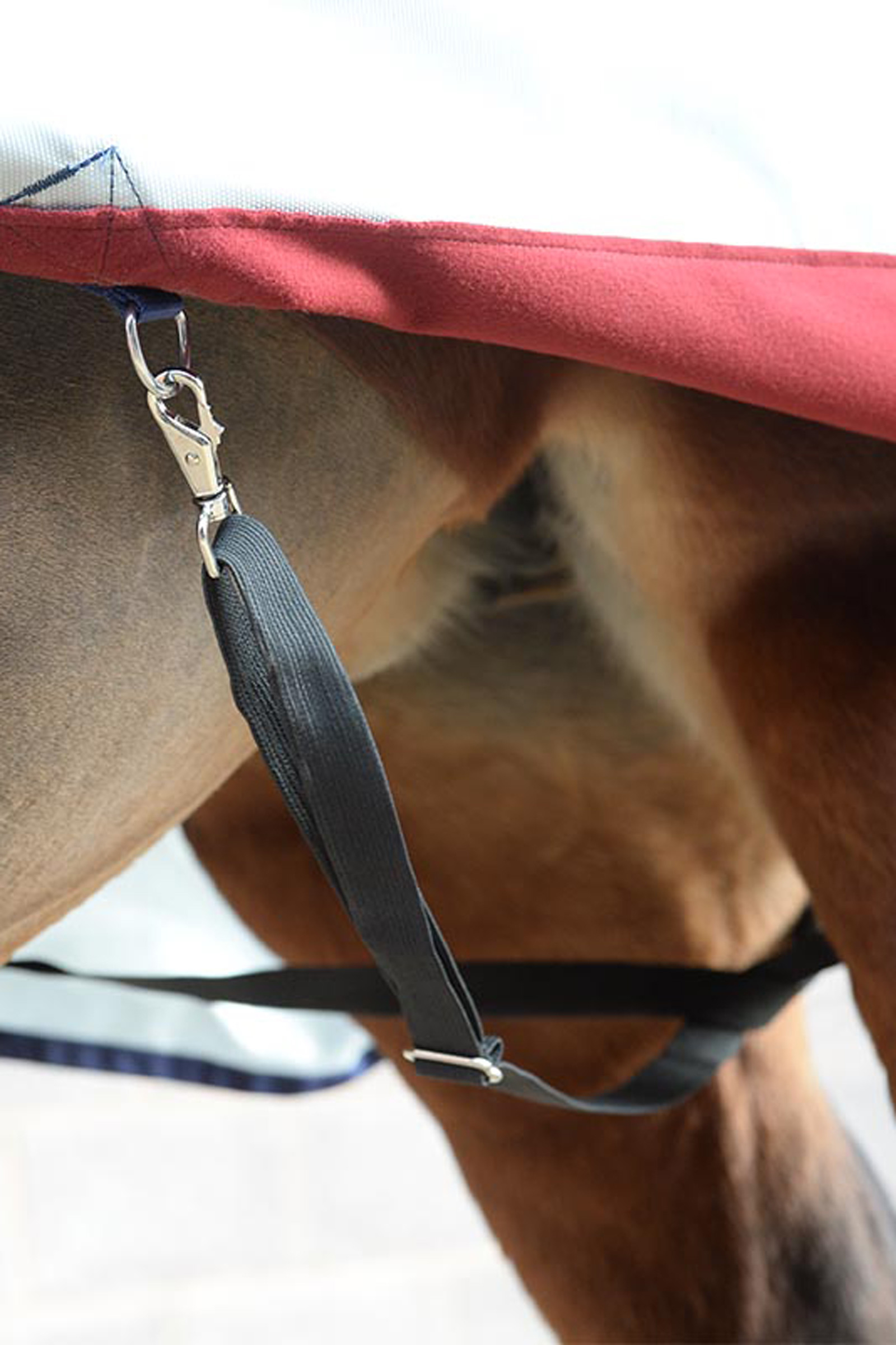 Bucas DeLuxe elastische bilkoorden