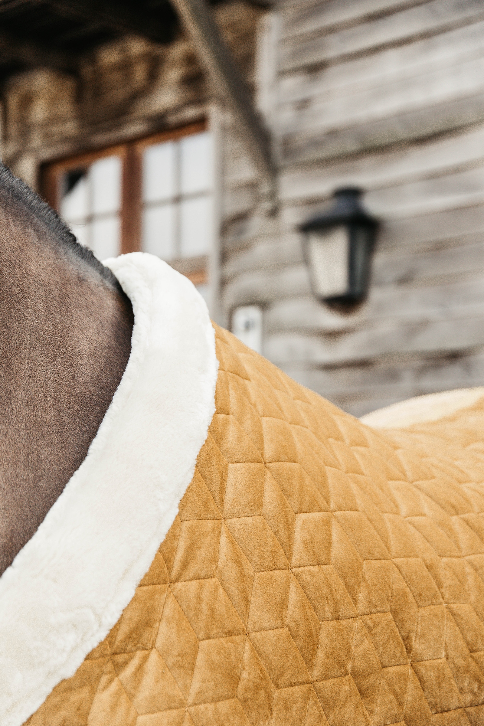 Kentucky Horsewear Pony Showdeken Velvet, 160g