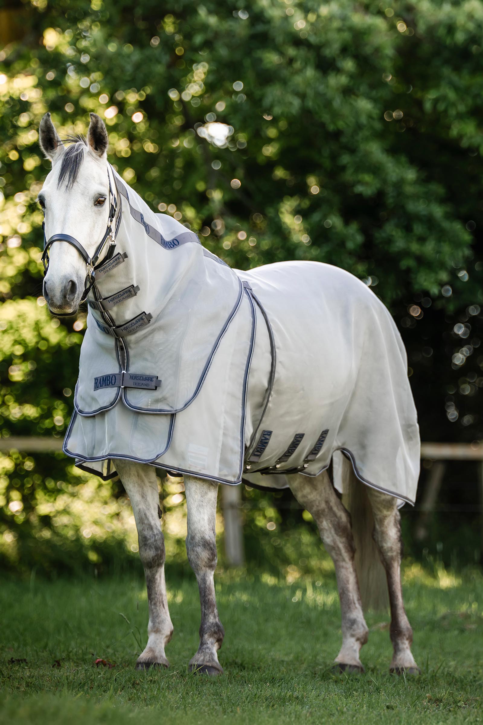 Horseware Rambo Optimo Protector Plus regendeken