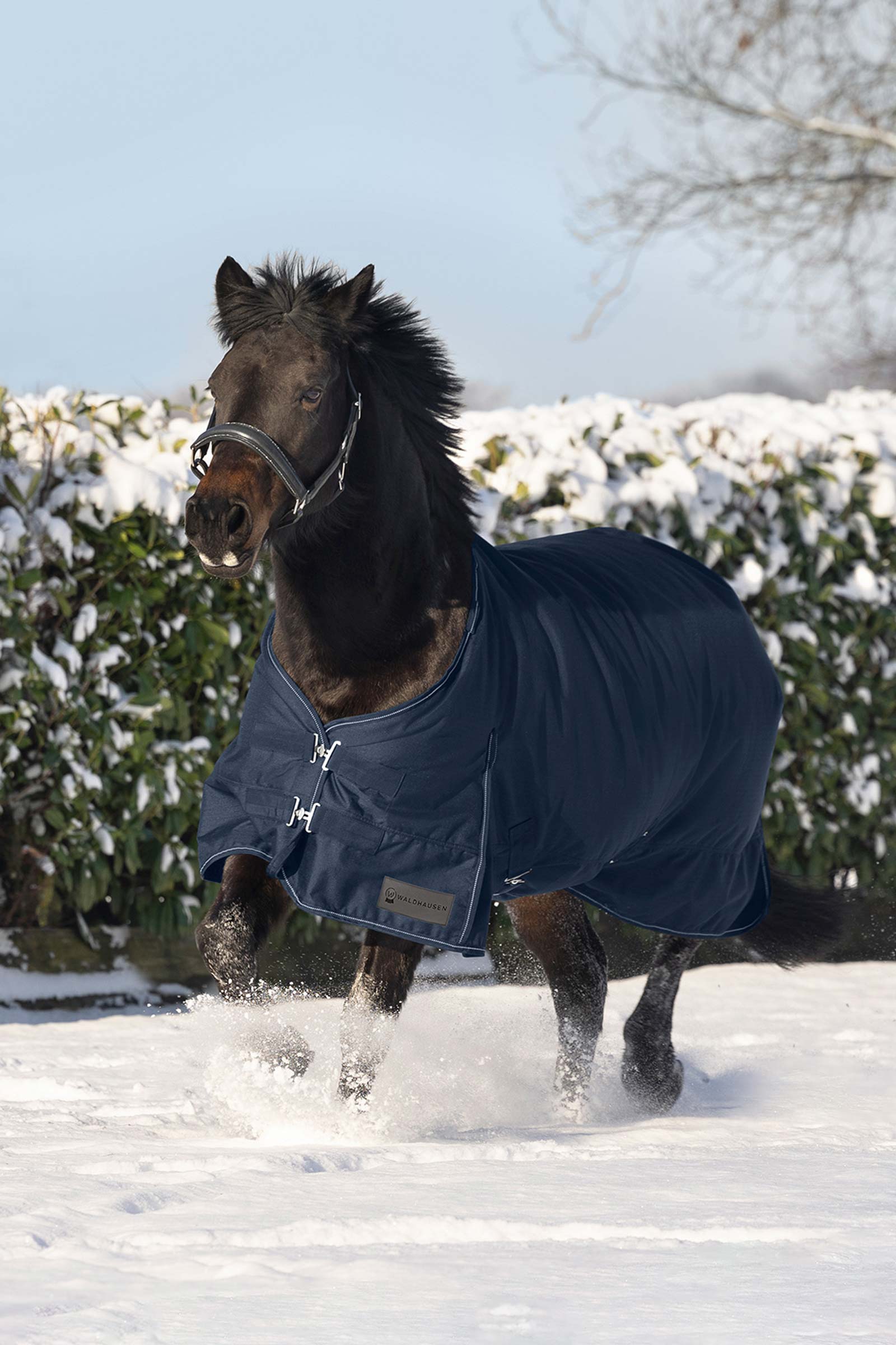 Waldhausen Nordic Outdoordeken, 200 g