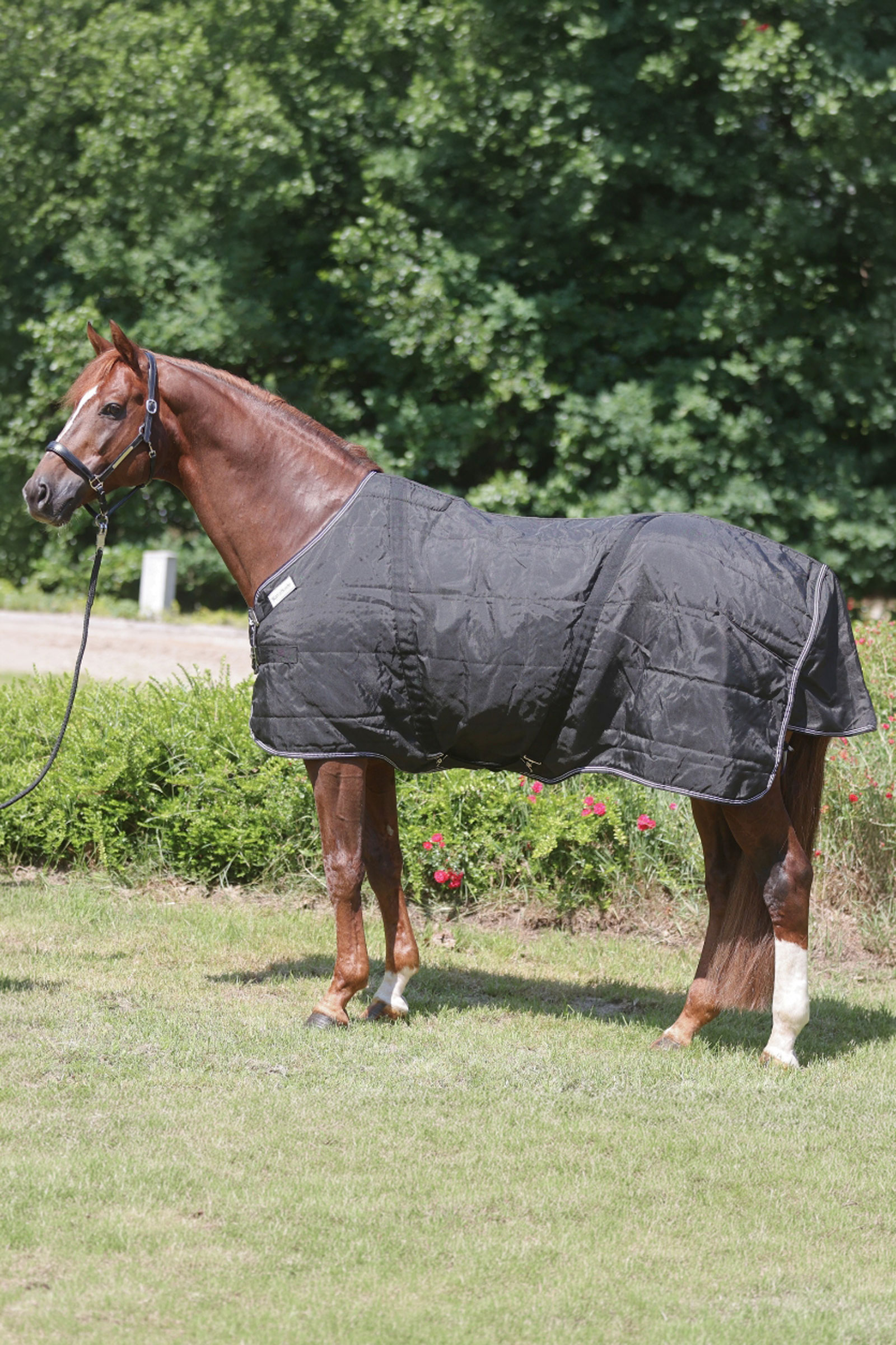 Kavalkade Stallion deken met borstflap, 50 g