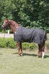 Kavalkade Stallion deken met borstflap, 50 g