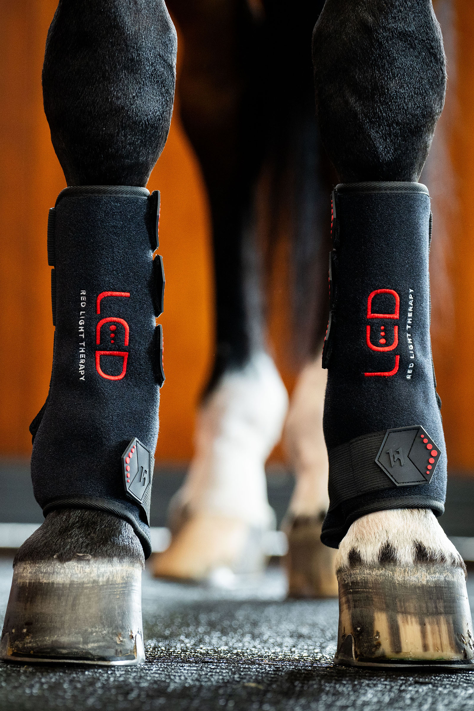 Horseware LED roodlichttherapie beenbeschermer (1 st.)