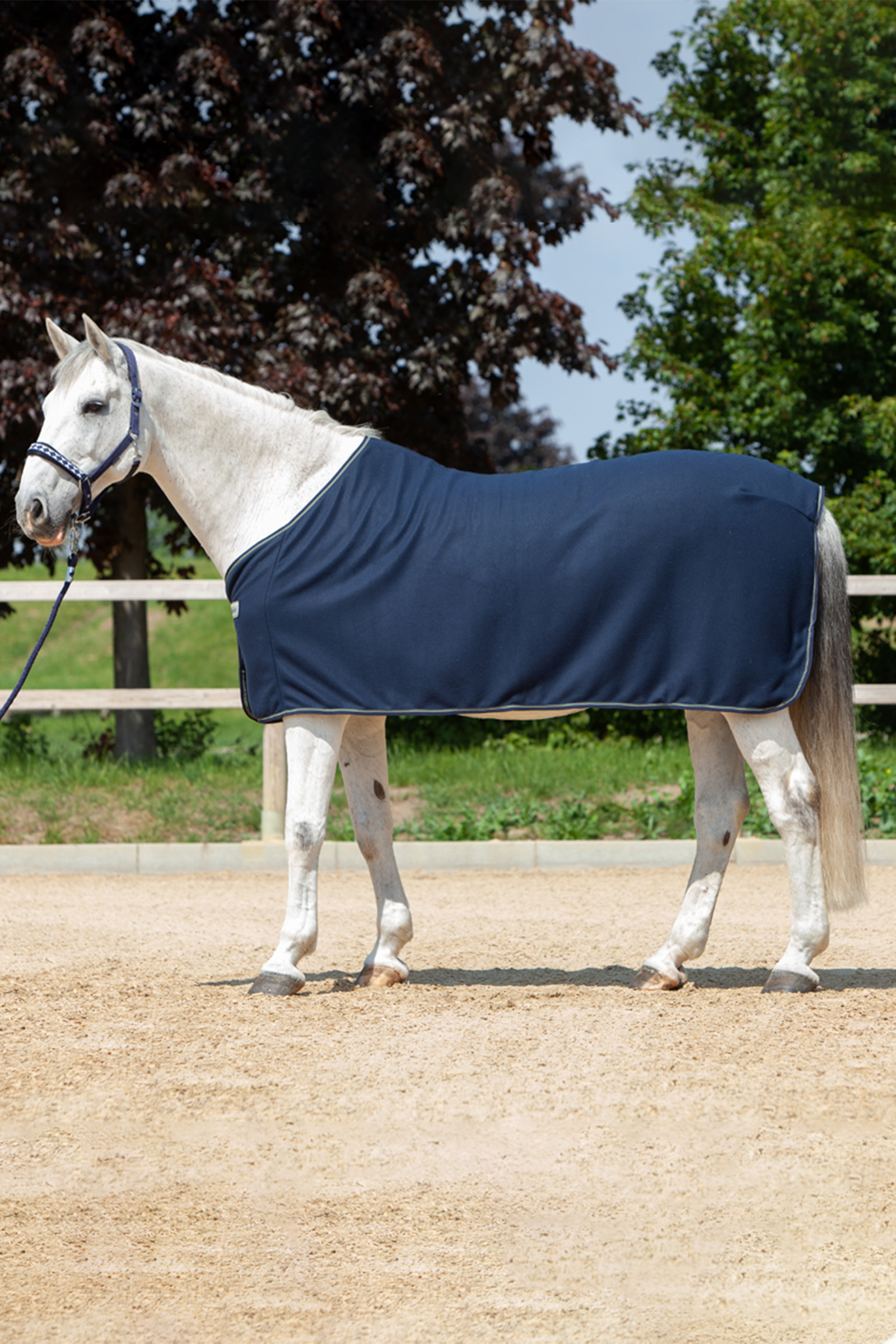 DB/AB Kavalkade Fleece Cooler