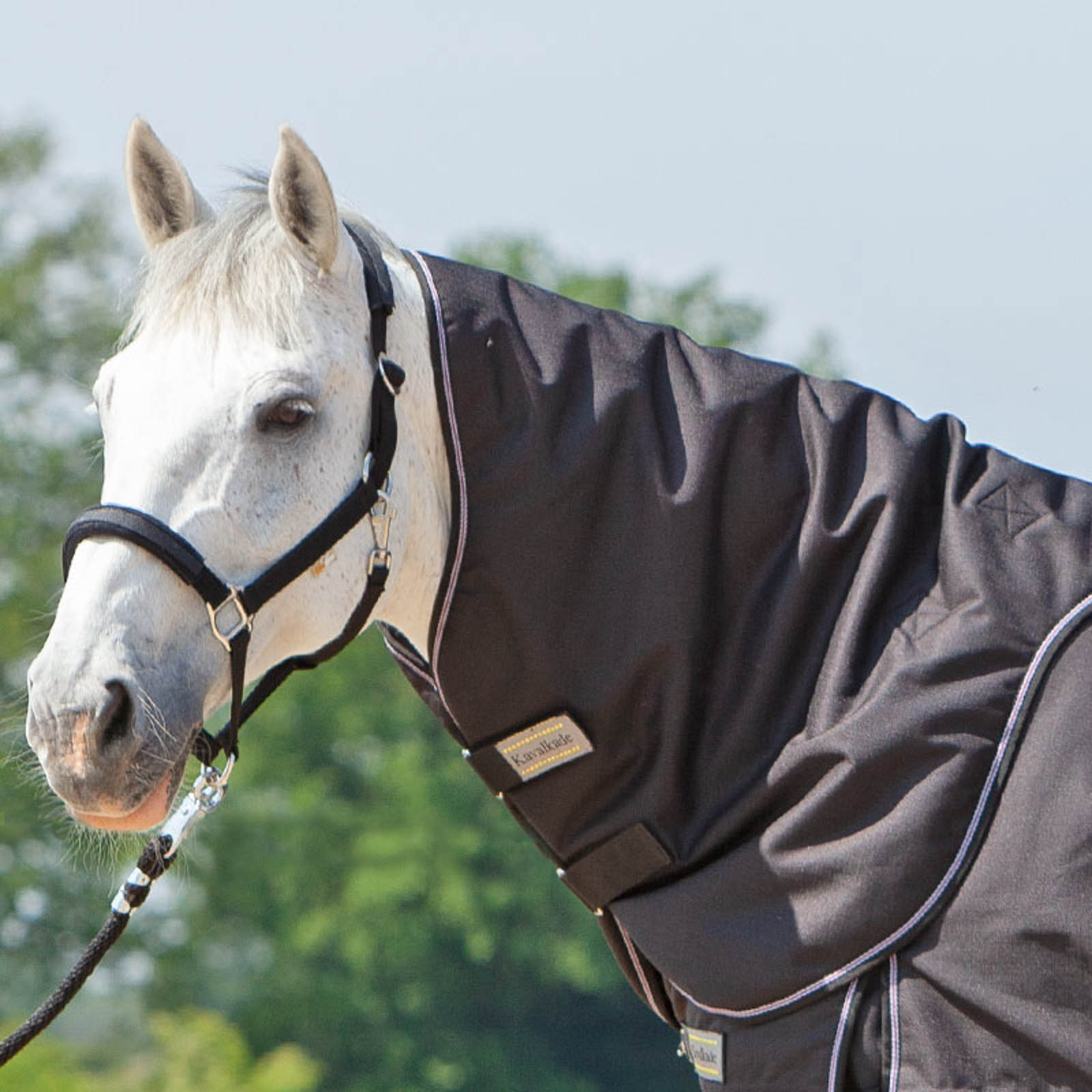 Kavalkade Hals voor Alaska IV, 100 g