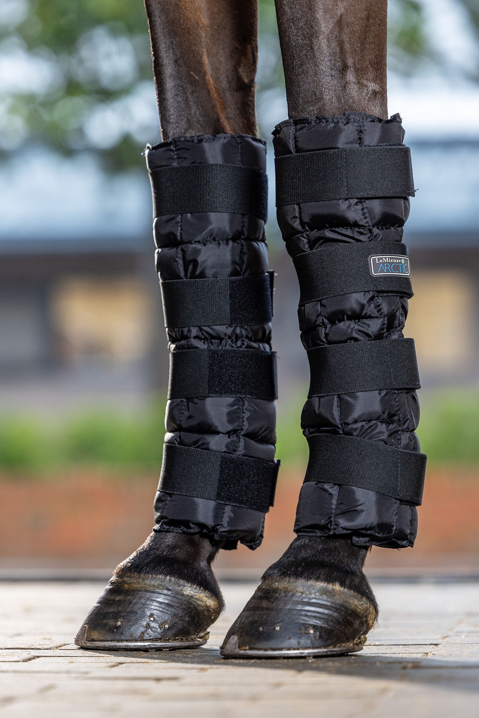 LeMieux Arctic Ice koelgamaschen (paar)