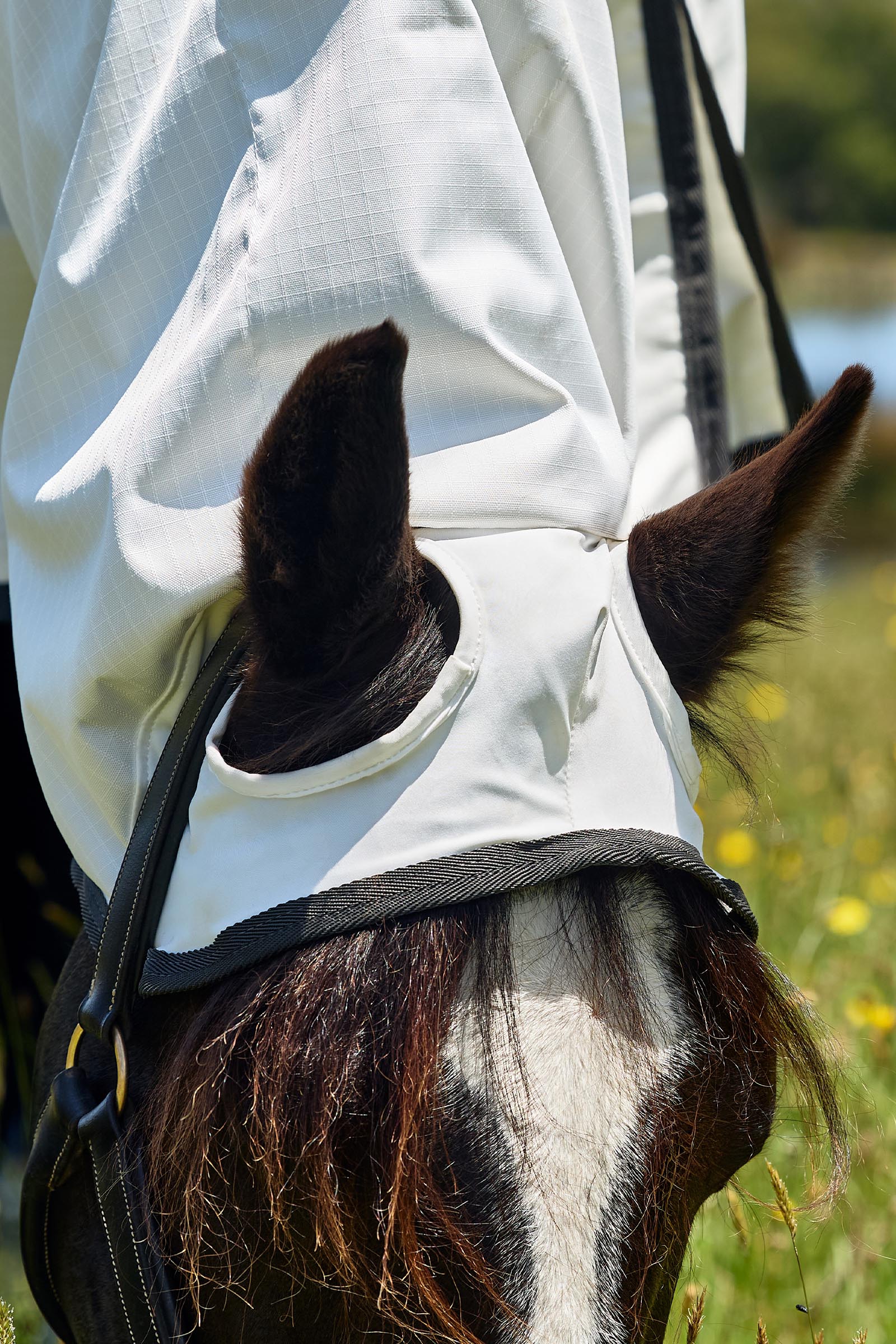 Weatherbeeta ComFiTec Sweet Itch Shield Vliegendeken combo met vaste hals, 0 g  