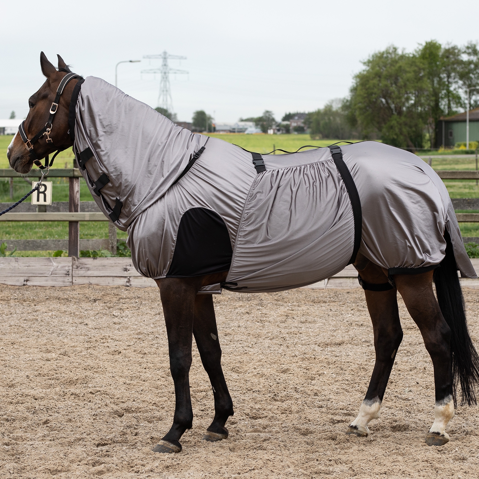 Harry's Horse Eczema/Fly Rug UV