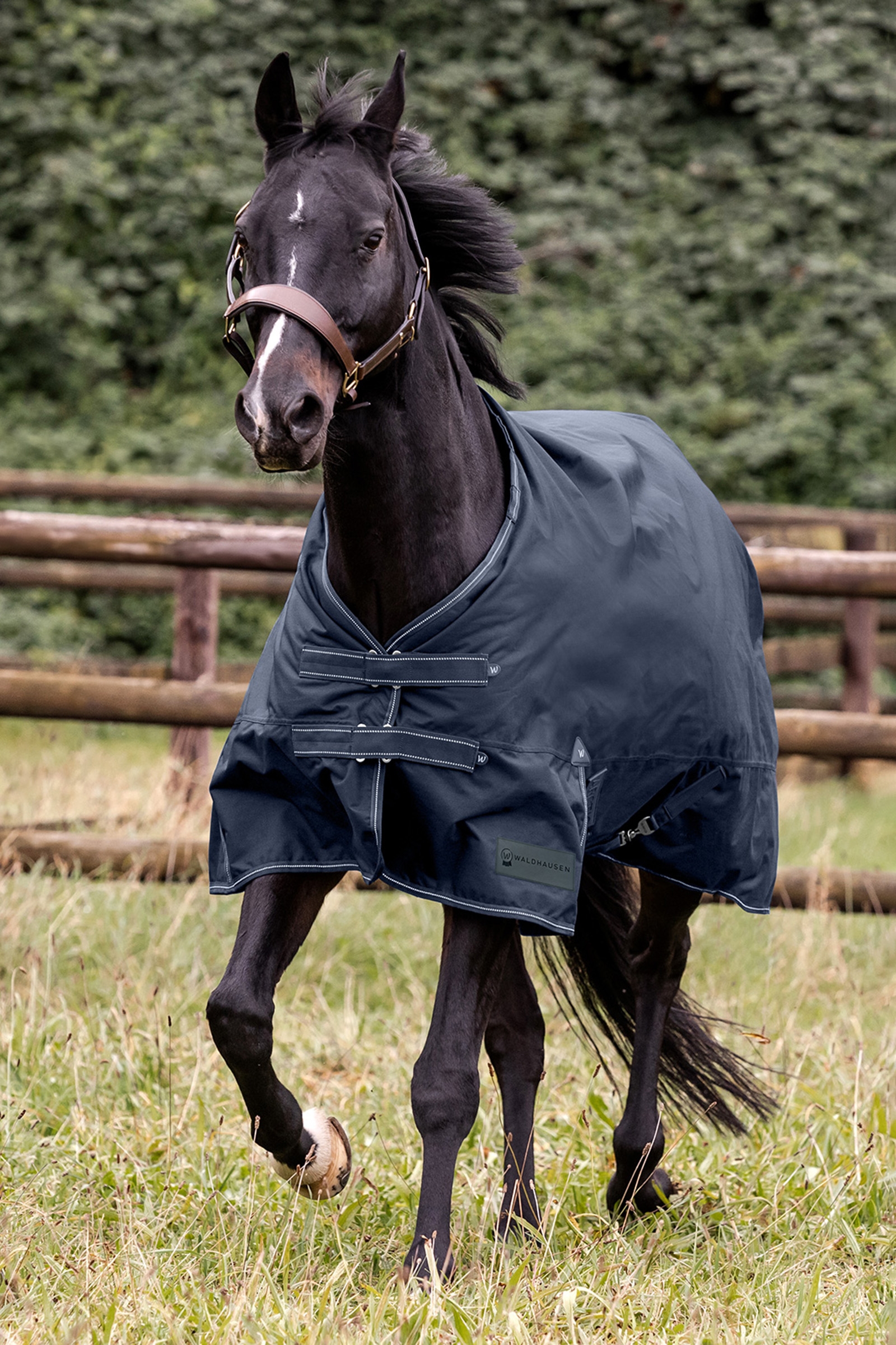 Waldhausen Arctic Outdoor Rug, 100 g