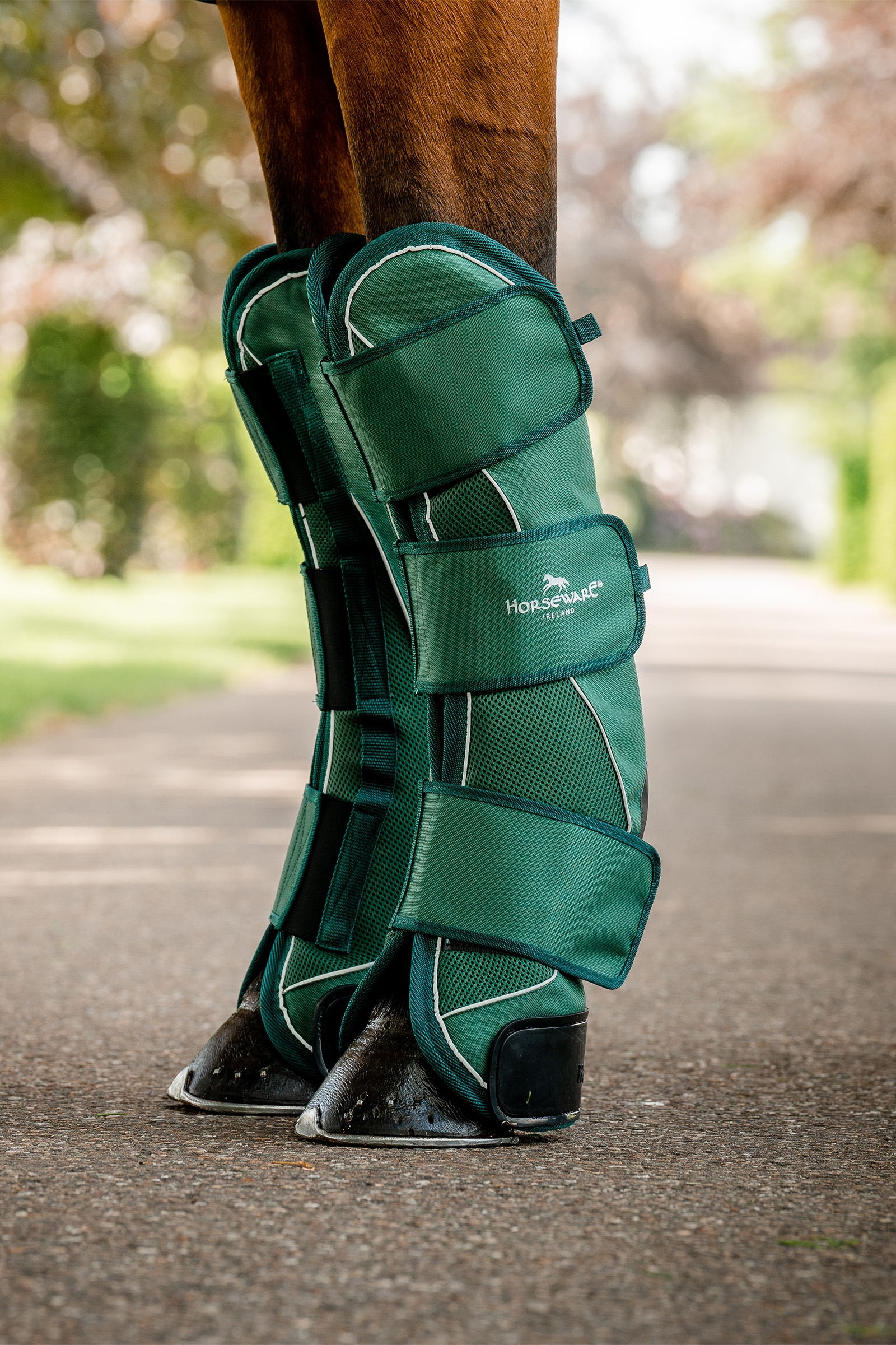 Horseware Signature Transport Peesbeschermers