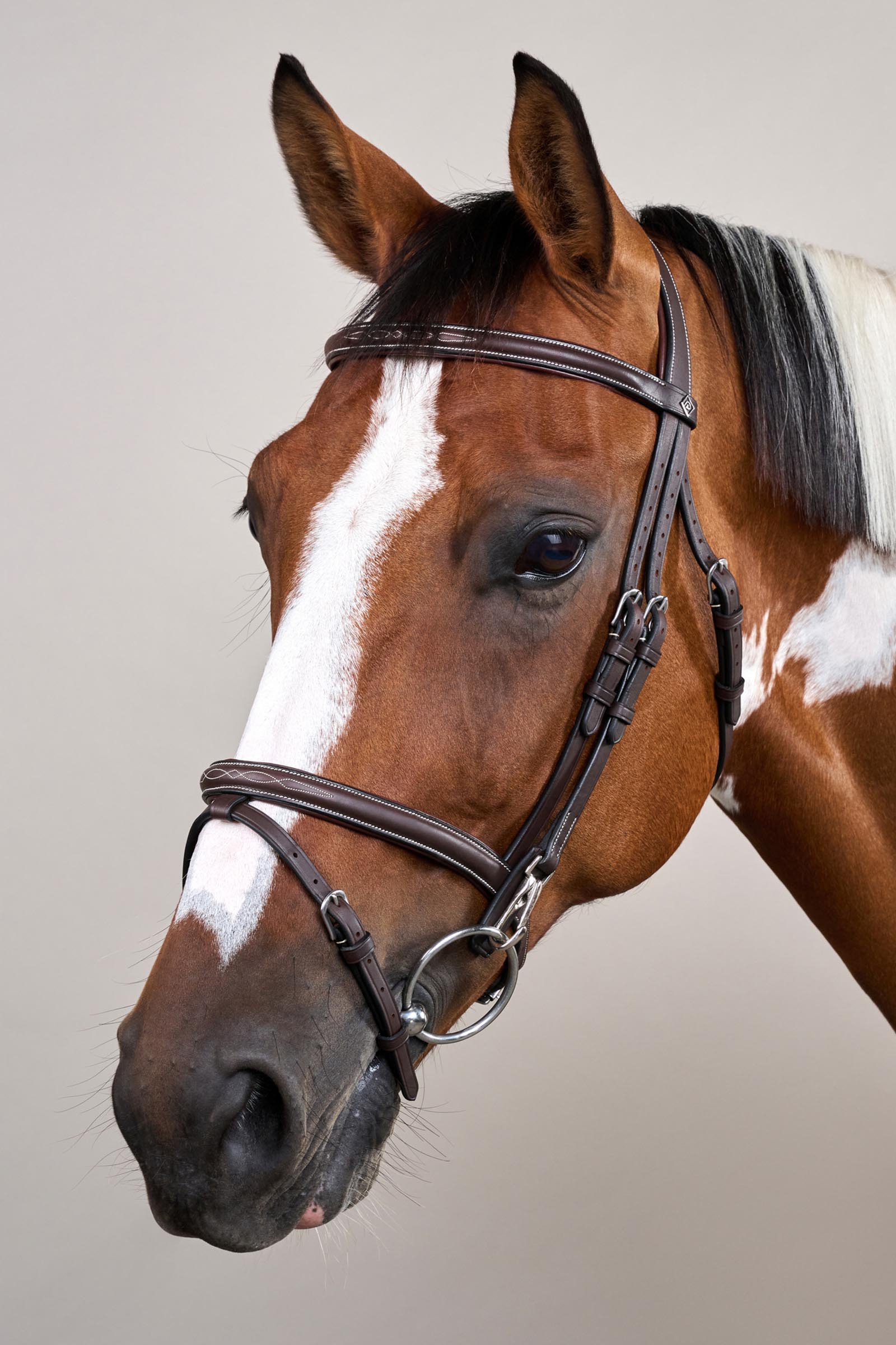 Dy'on Working hoofdstel met gecombineerde neusriem en karabijnhaken  