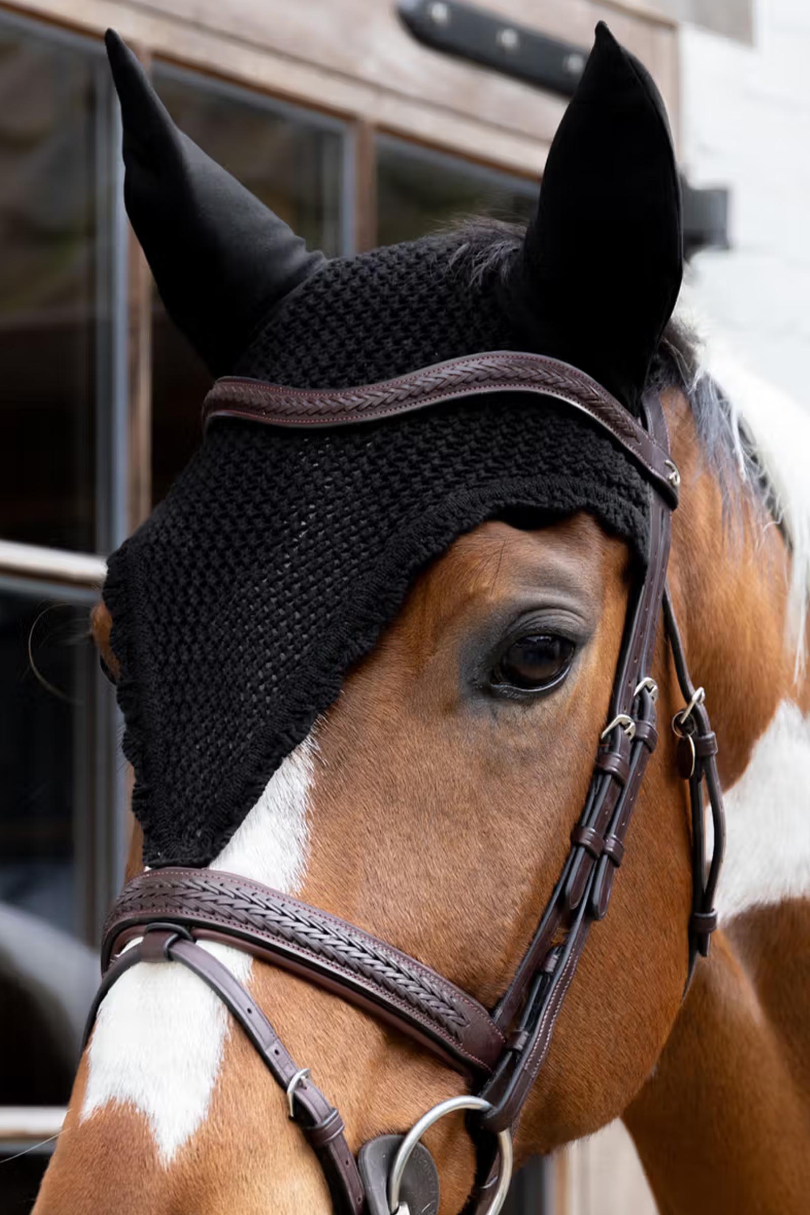 Kentucky lange vliegenoornetje  