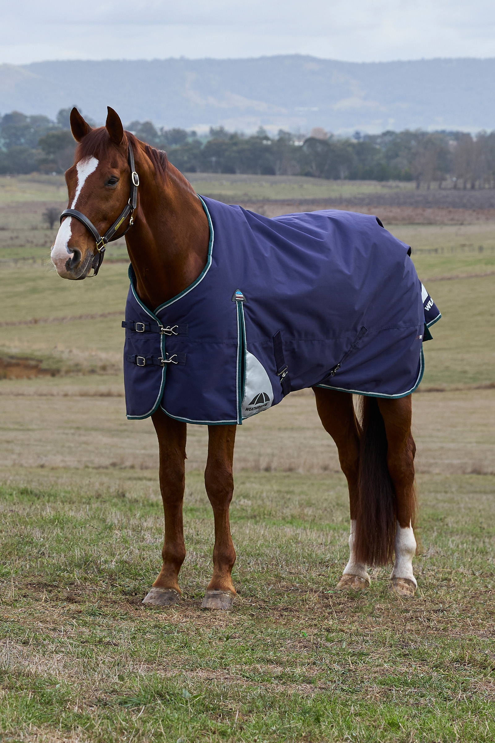 Weatherbeeta ComFiTecPlus Dynamic Turnout Detach-A-Neck 100G