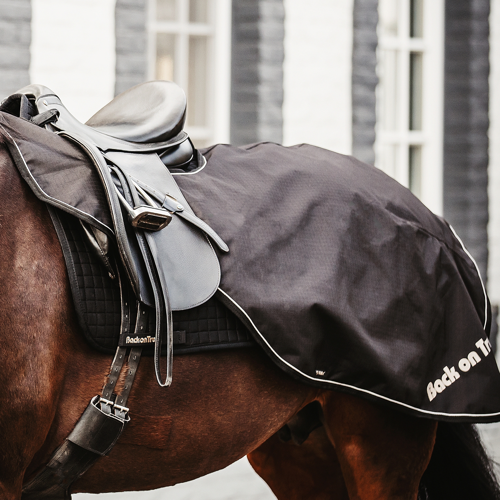 Back on Track Uitrijdeken Sammy, 50g