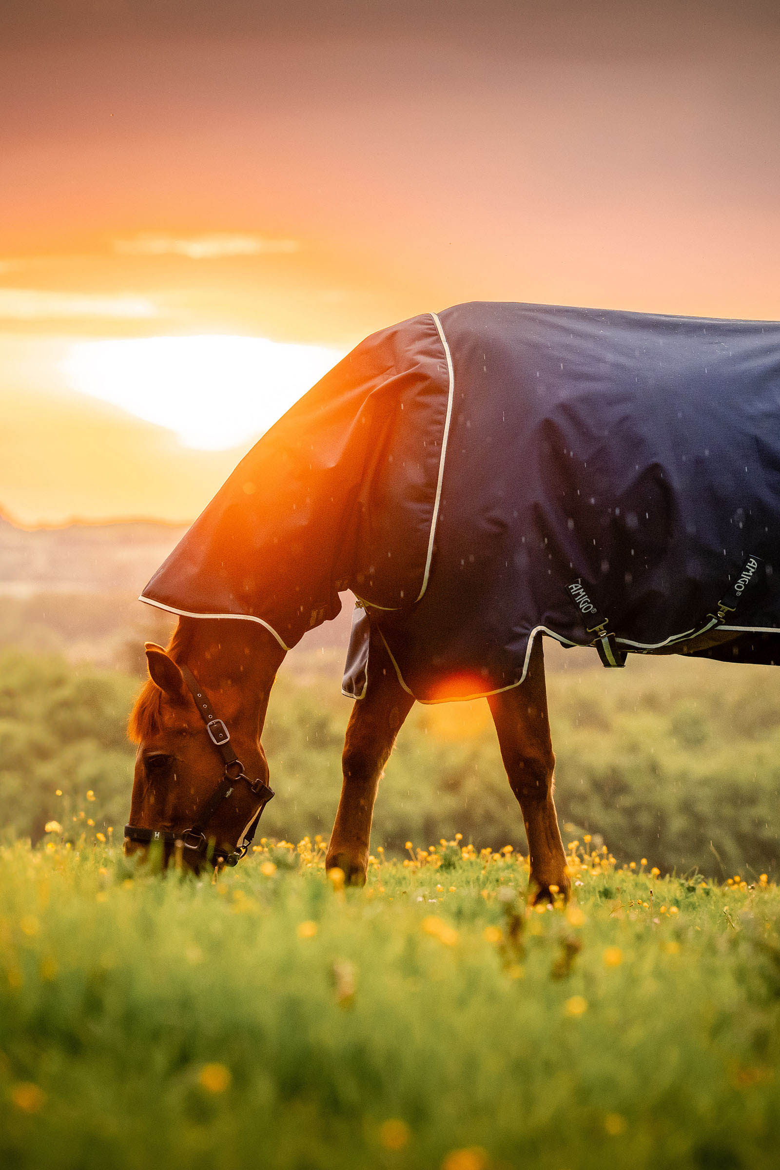 Horseware Amigo Ripstop 900D Plus turnoutdeken, 200 g