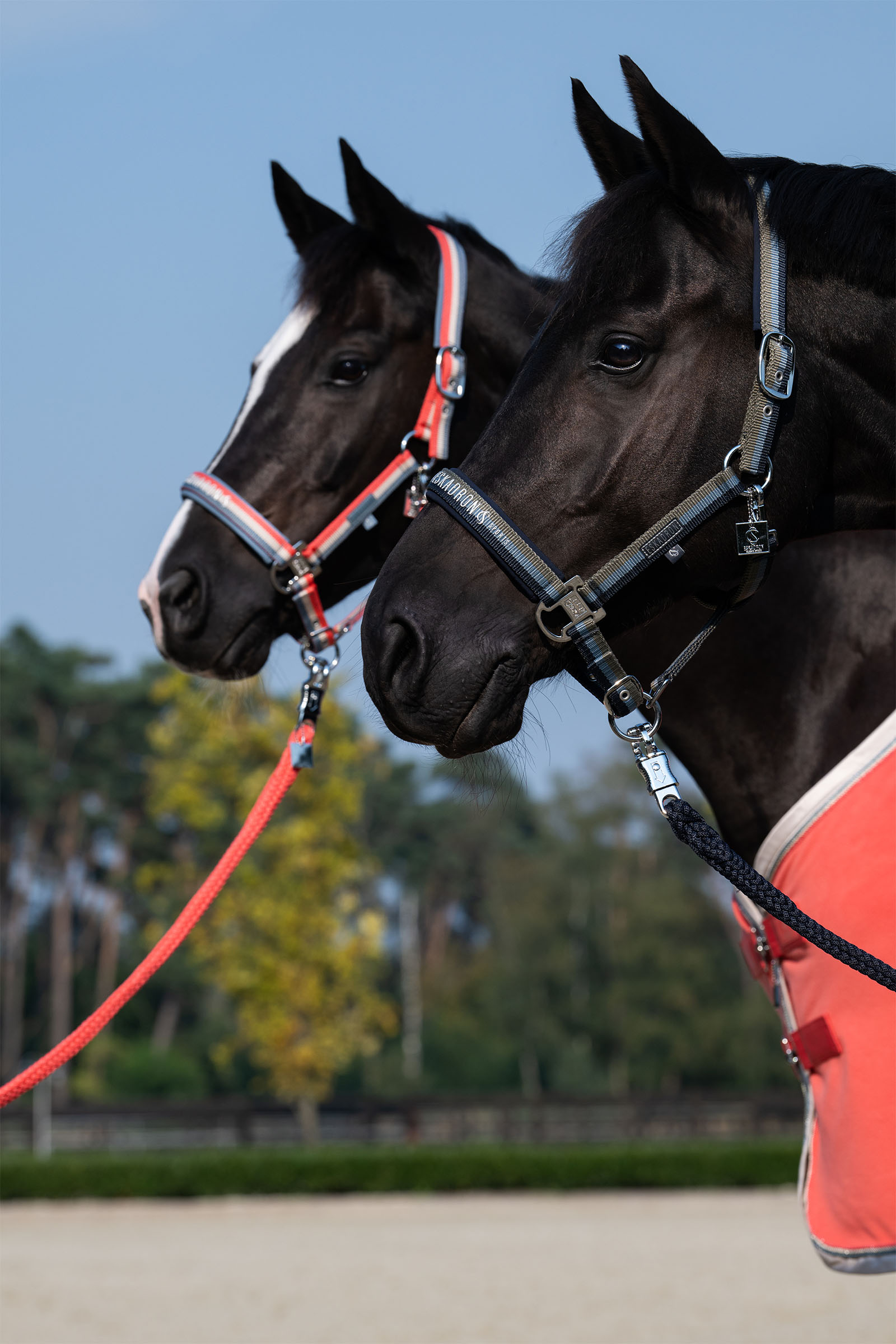 Eskadron Classic Sports SS25 Halster met dubbele pin