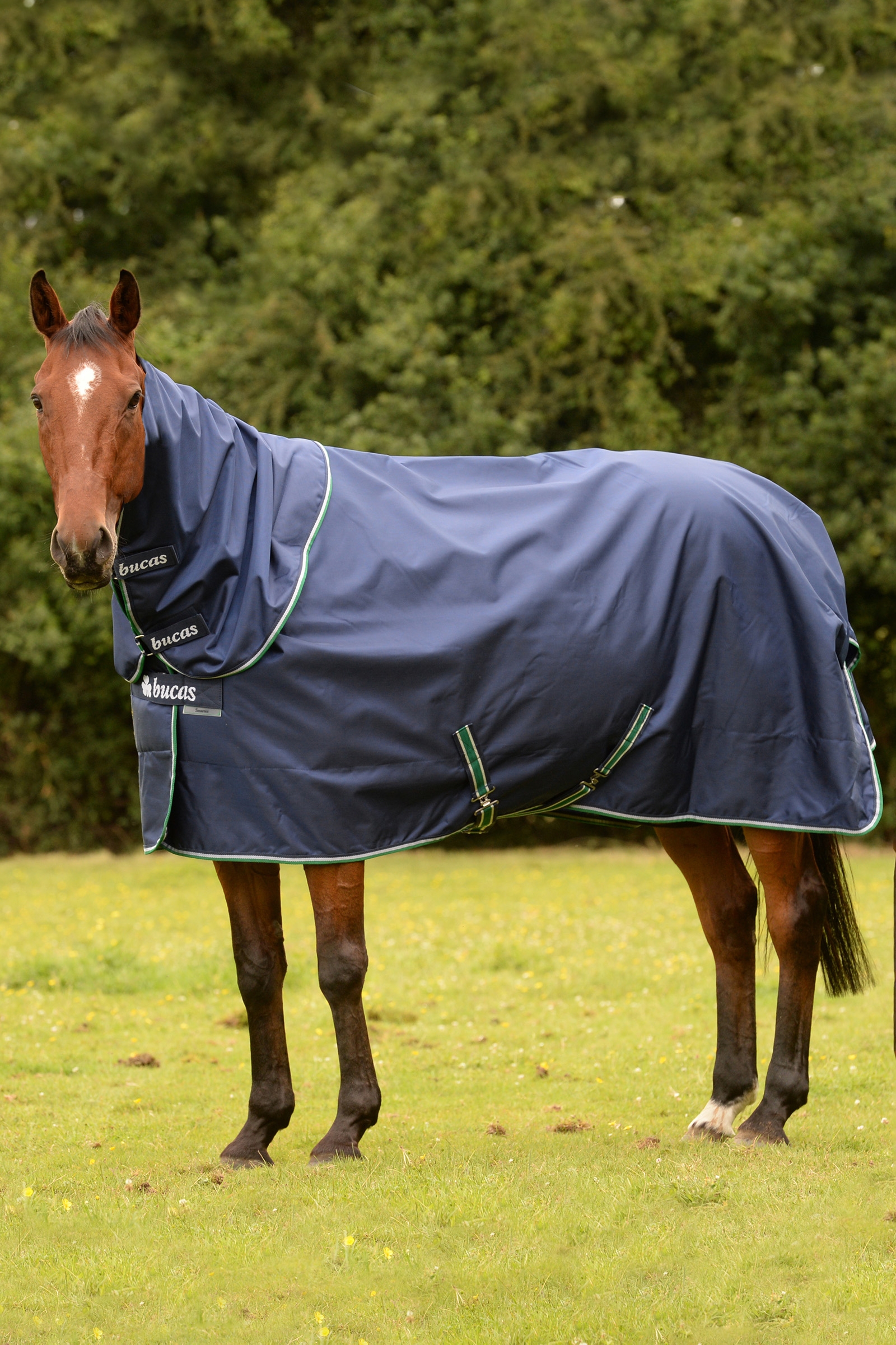 Bucas Smartex Rain, pony