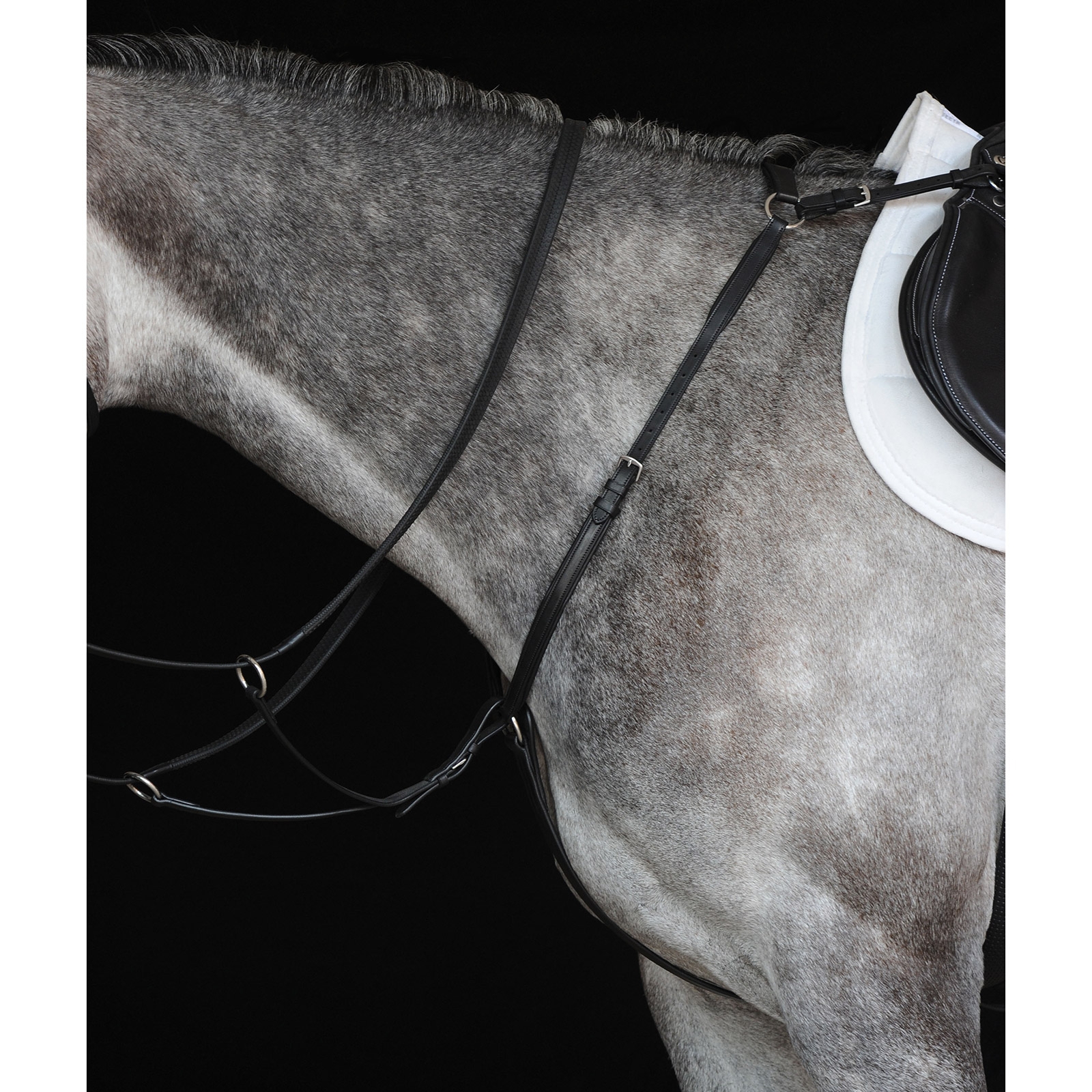 Collegiate Hunter Borststuk IV