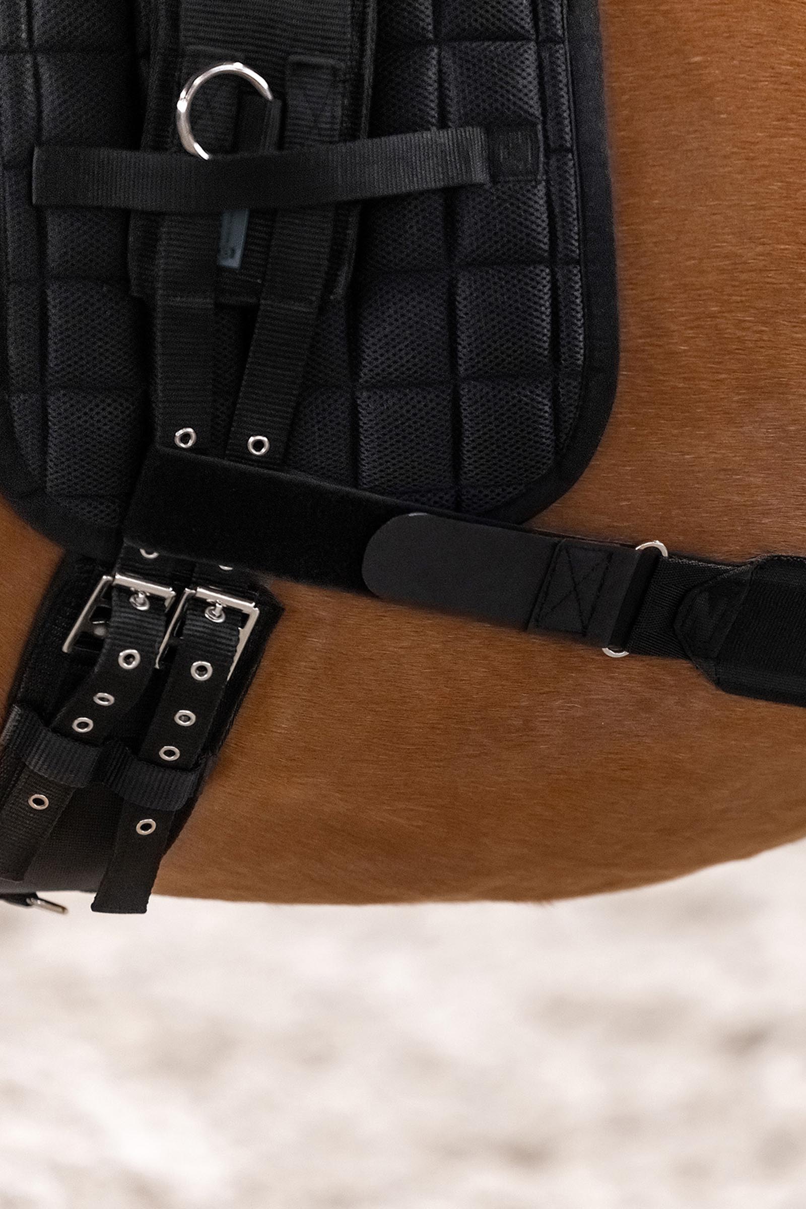 Waldhausen bodybandage voor activering van de achterhand