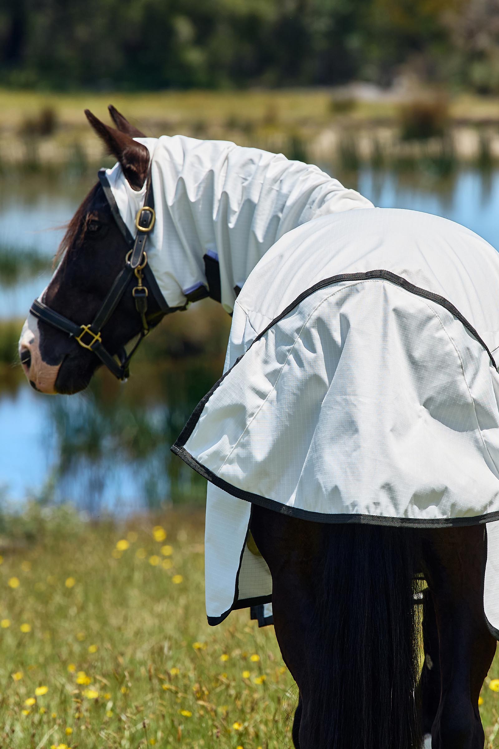 Weatherbeeta ComFiTec Sweet Itch Shield Vliegendeken combo met vaste hals, 0 g  