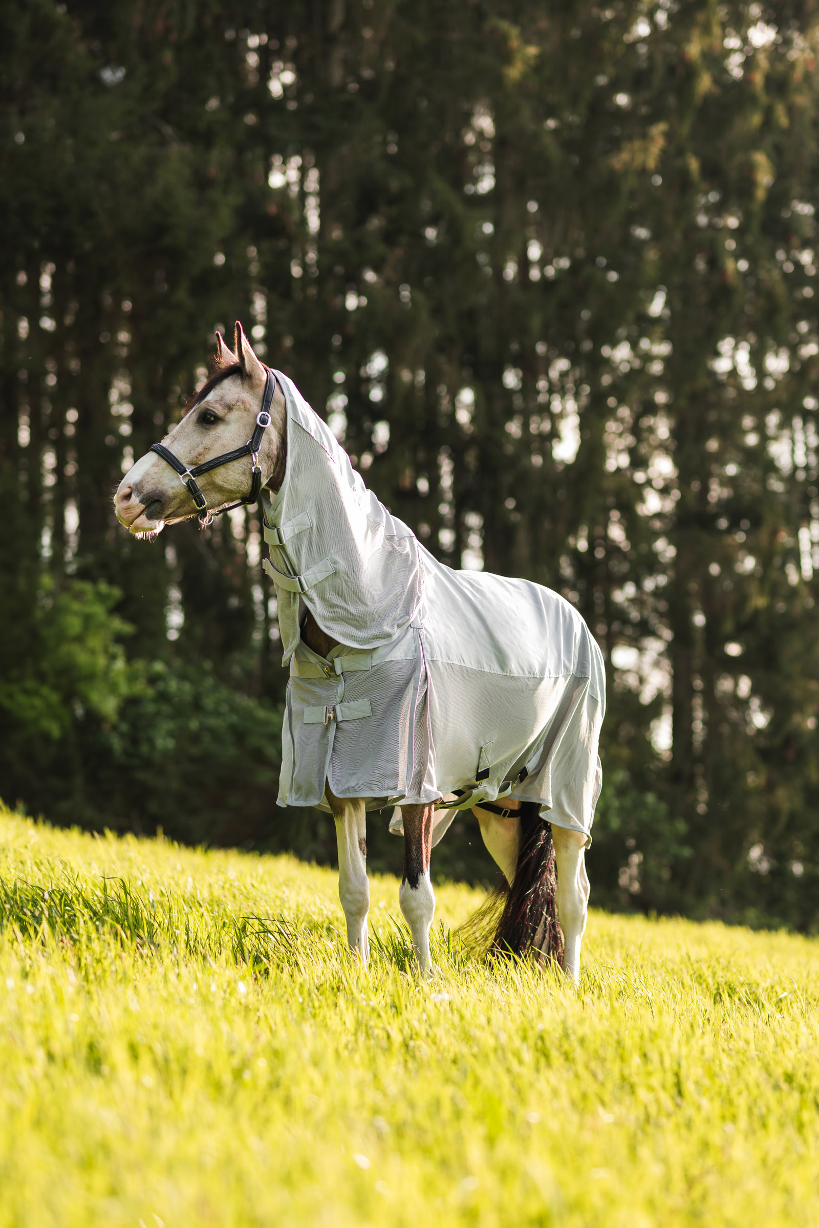 Horze Nevada Combo Regen/vliegendeken