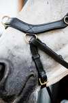 Horseware Micklem 2 Multi Hoofdstel