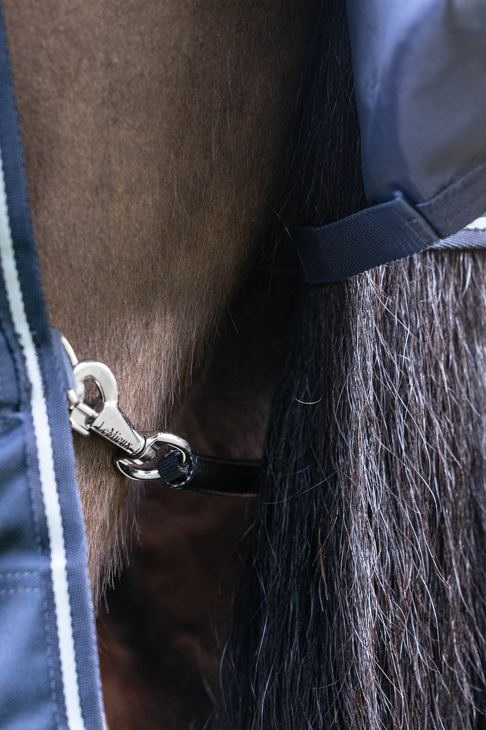 LeMieux Arika Storm-Tek deken met afneembare hals, 200 g