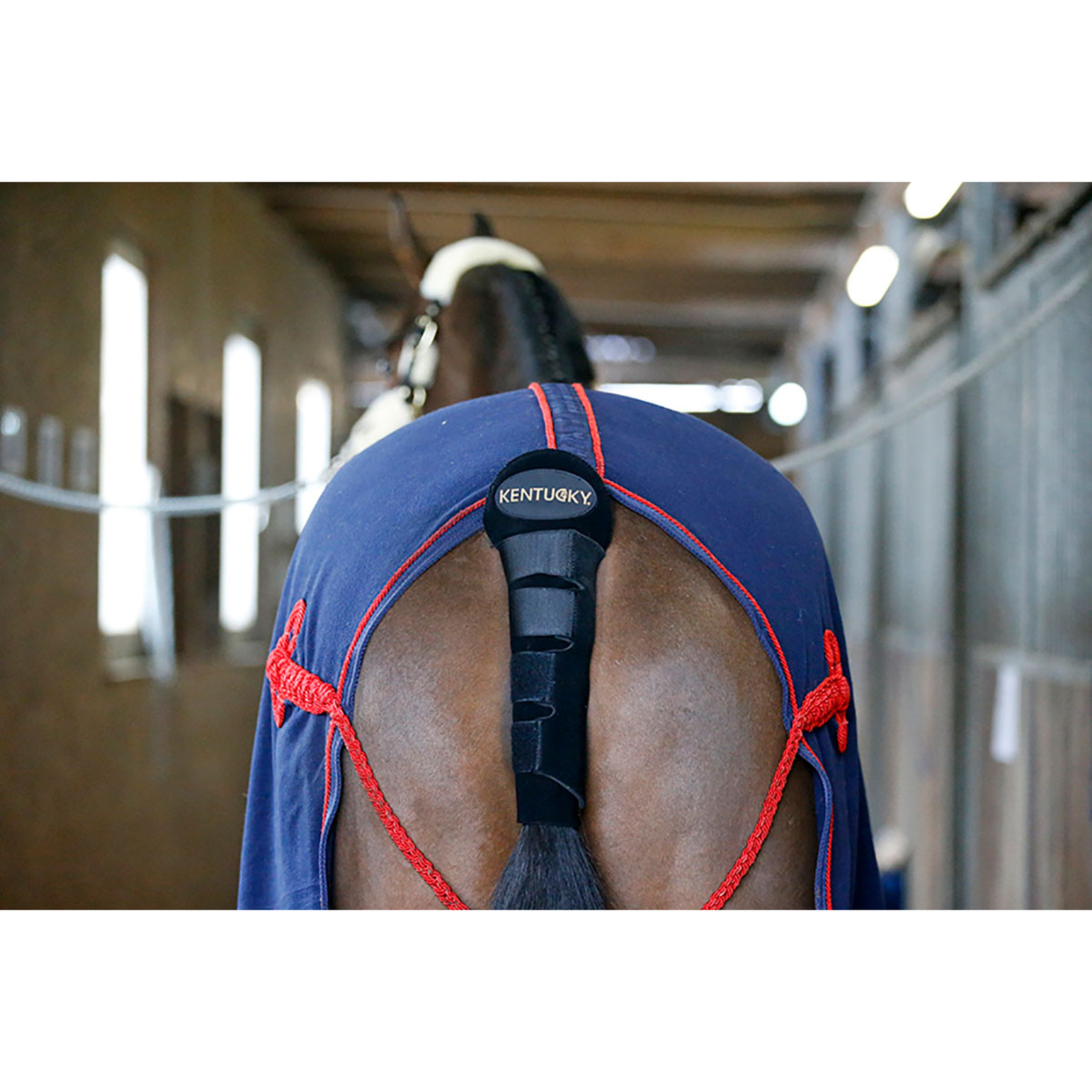 Kentucky Horsewear Staartbeschermer/zak