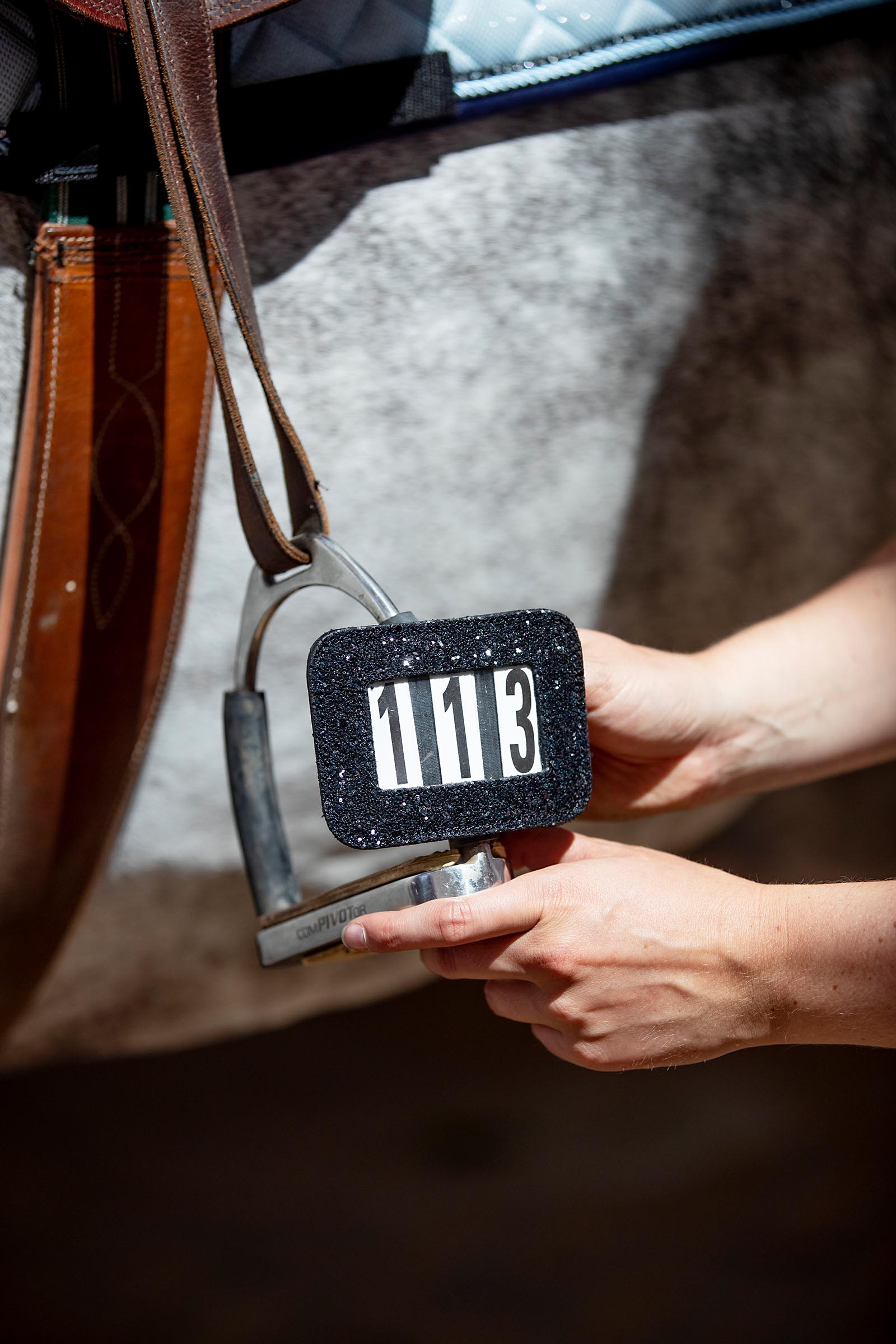 HorseGuard Competition Number Set Glitter