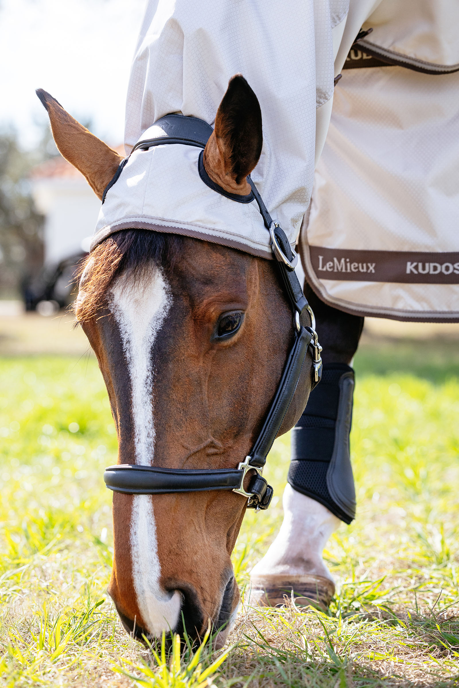 LeMieux Kudos Shower Pro eczeemdeken met afneembaar halsstuk